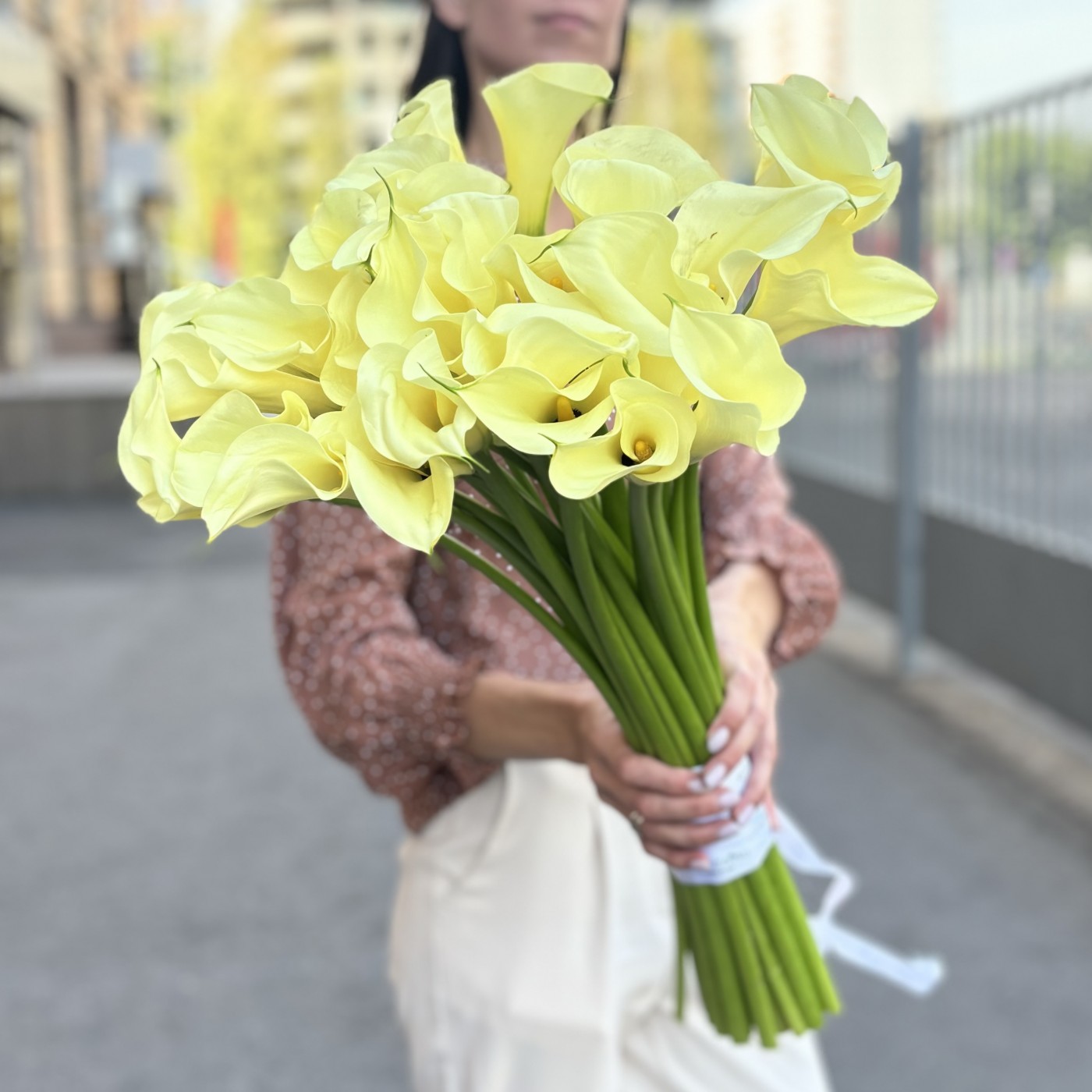 Каллы шампань