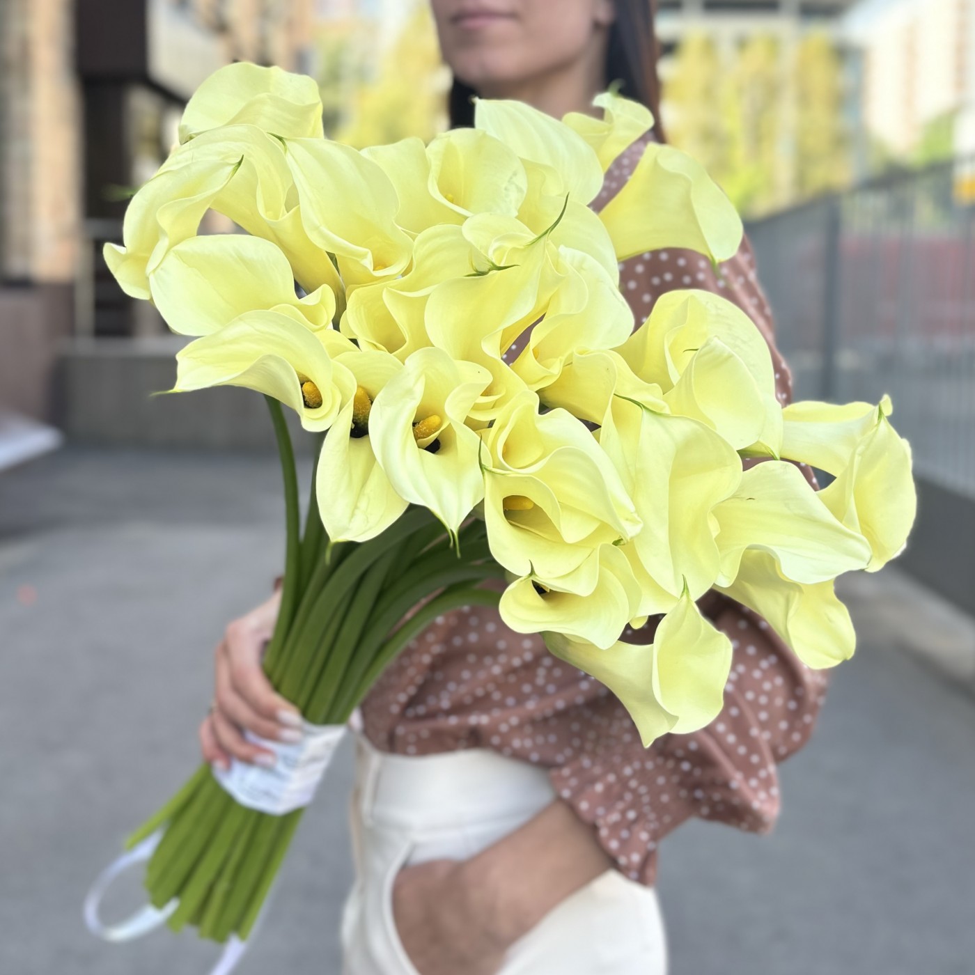 Каллы шампань