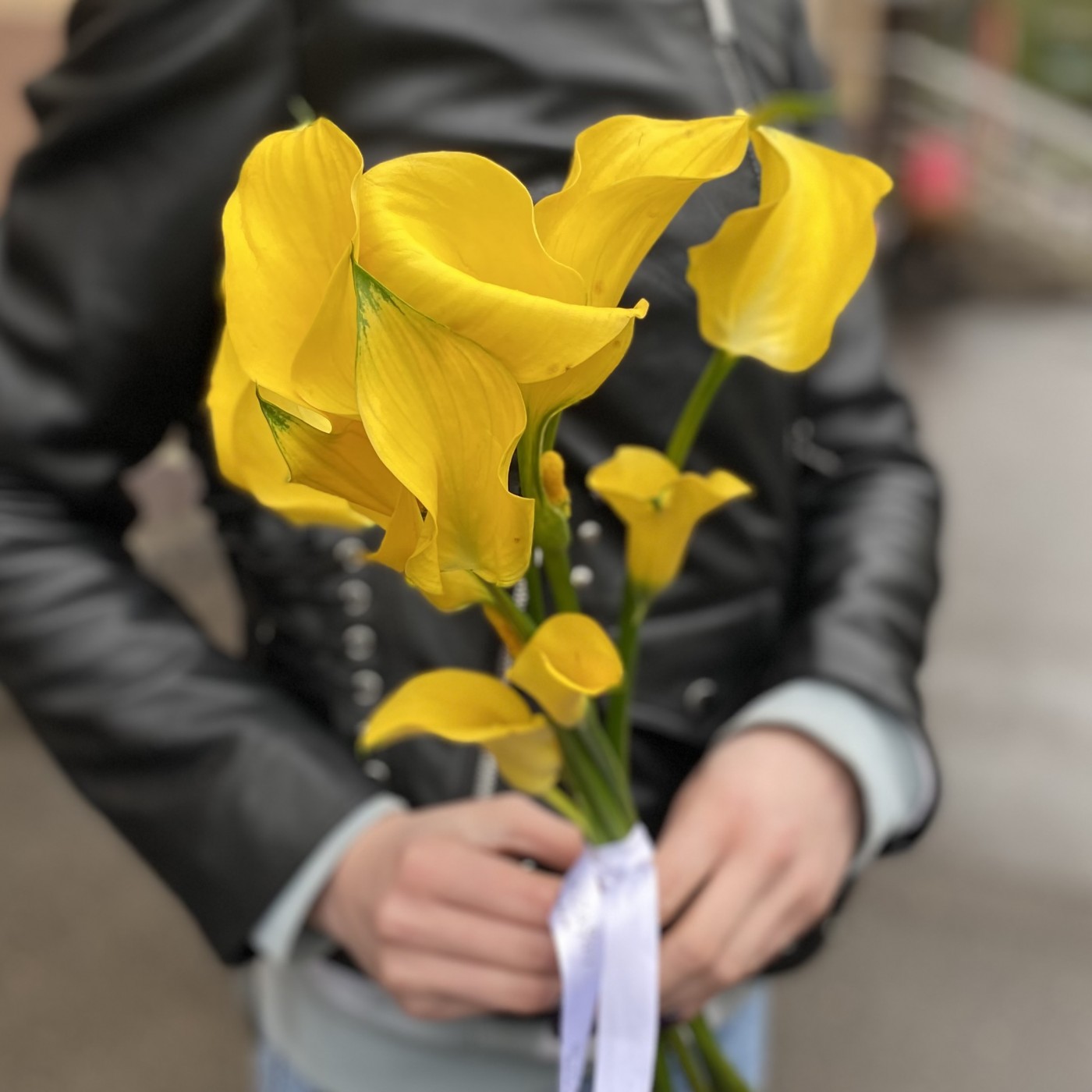 Калла желтая
