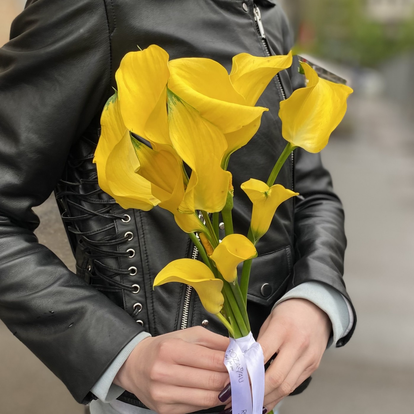 Калла желтая