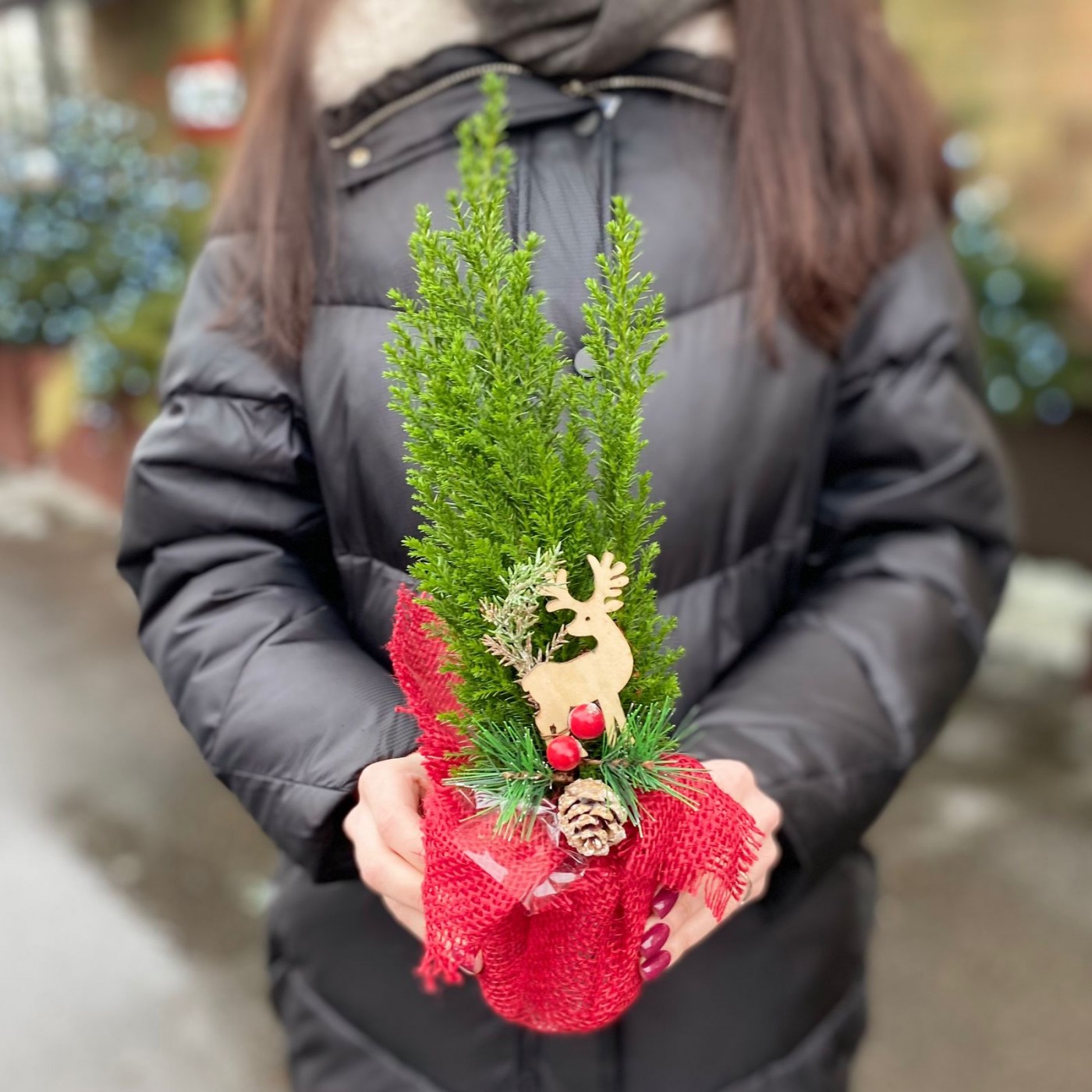 Кипарисовик со стикером в мешковине