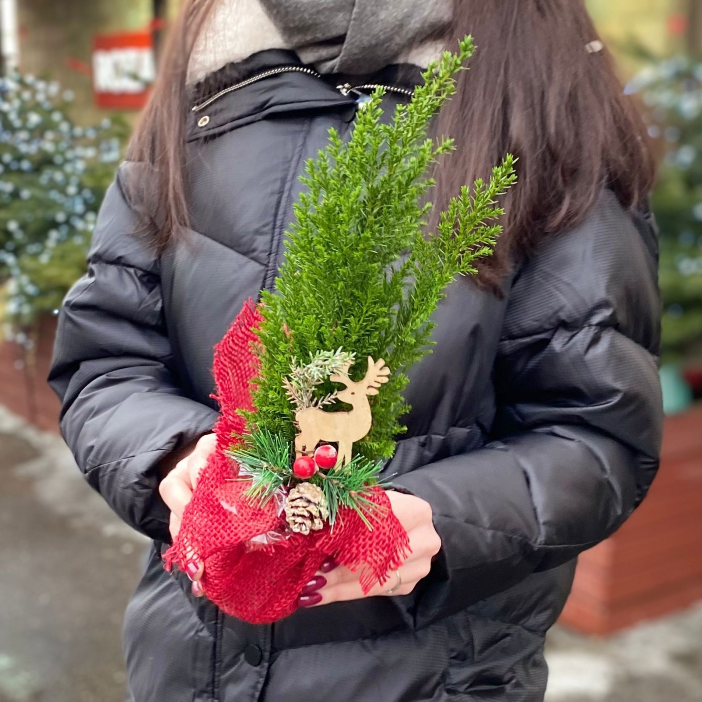 Кипарисовик со стикером в мешковине