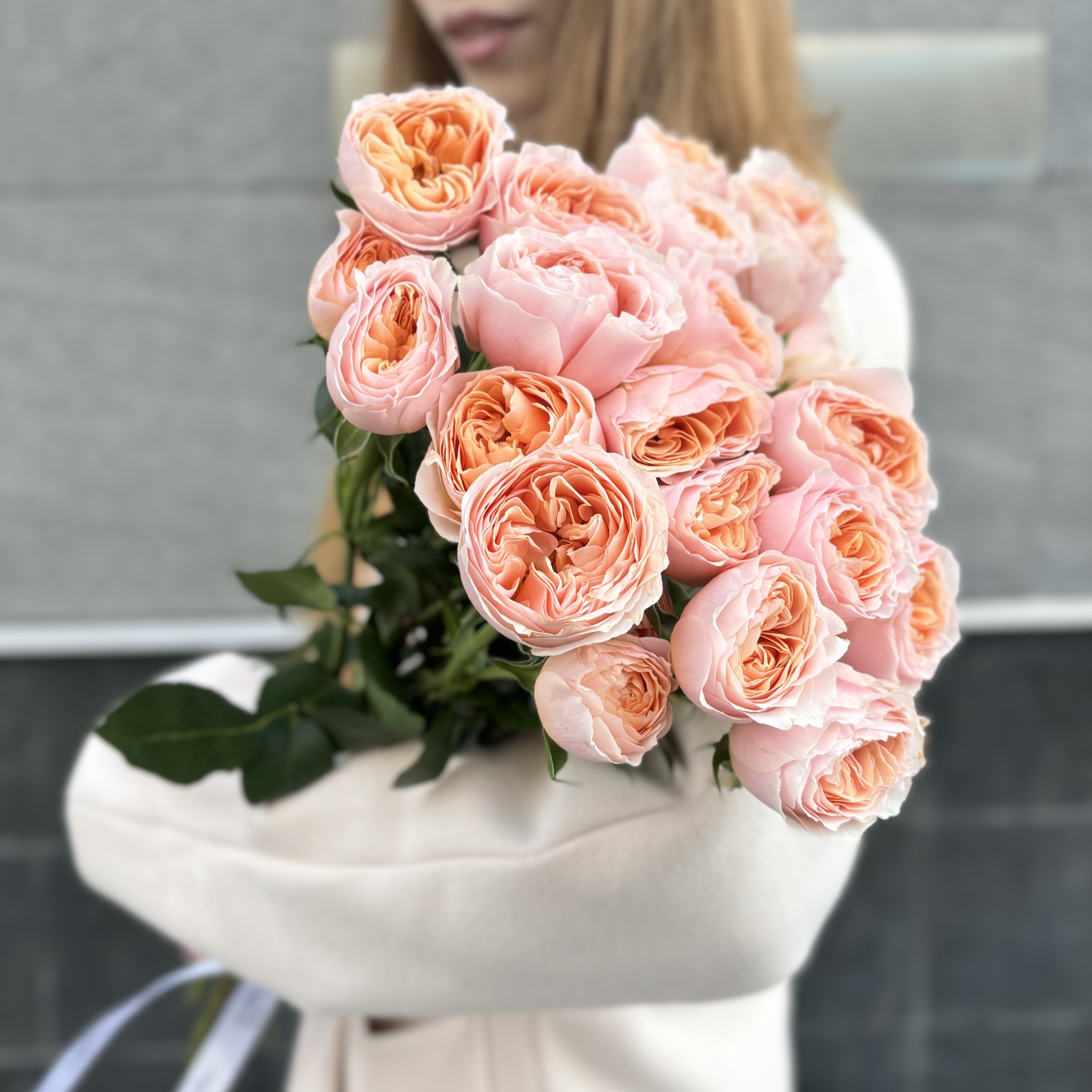 Кустовая пионовидная коралловая роза Кейджерс коралл