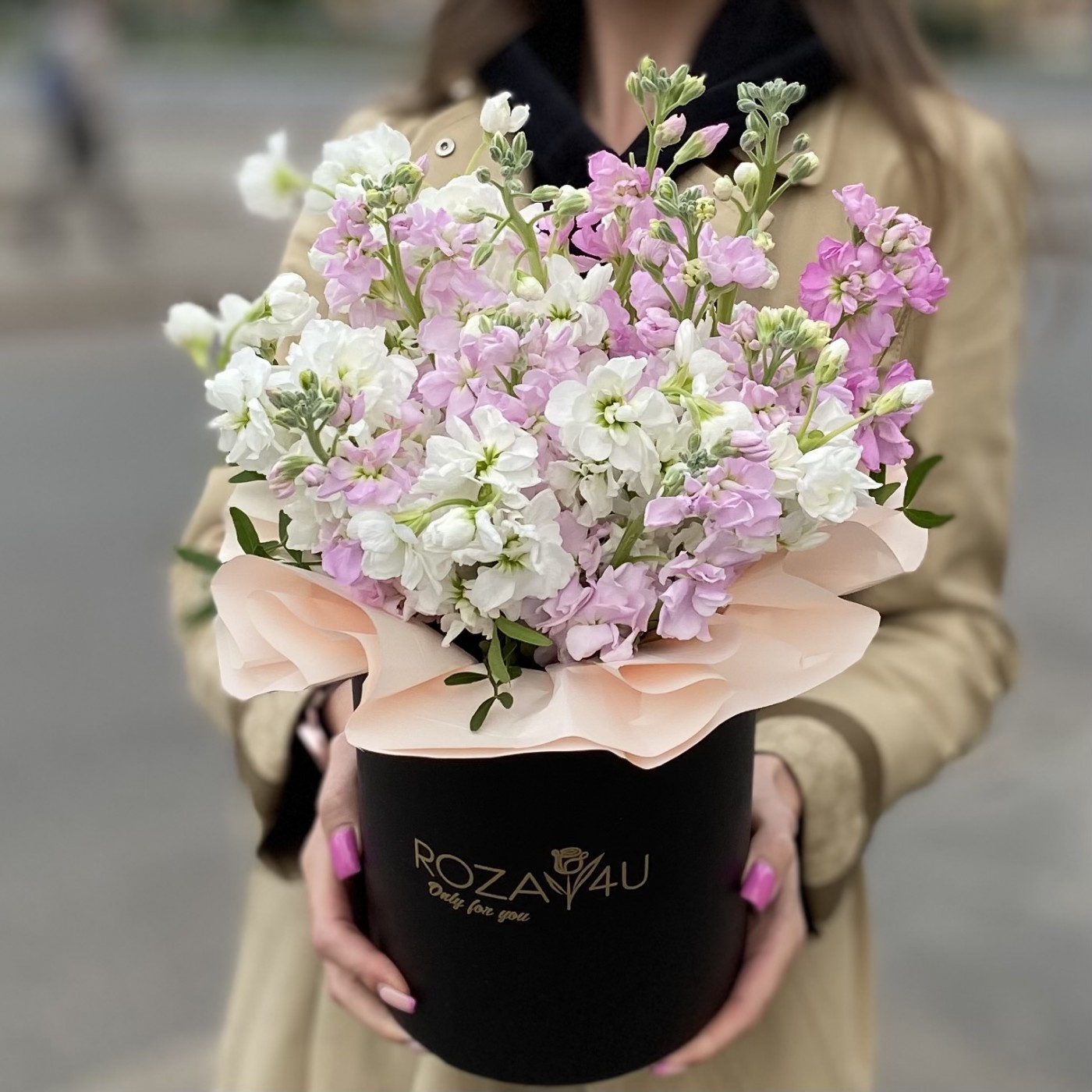 Ароматная маттиола в коробке