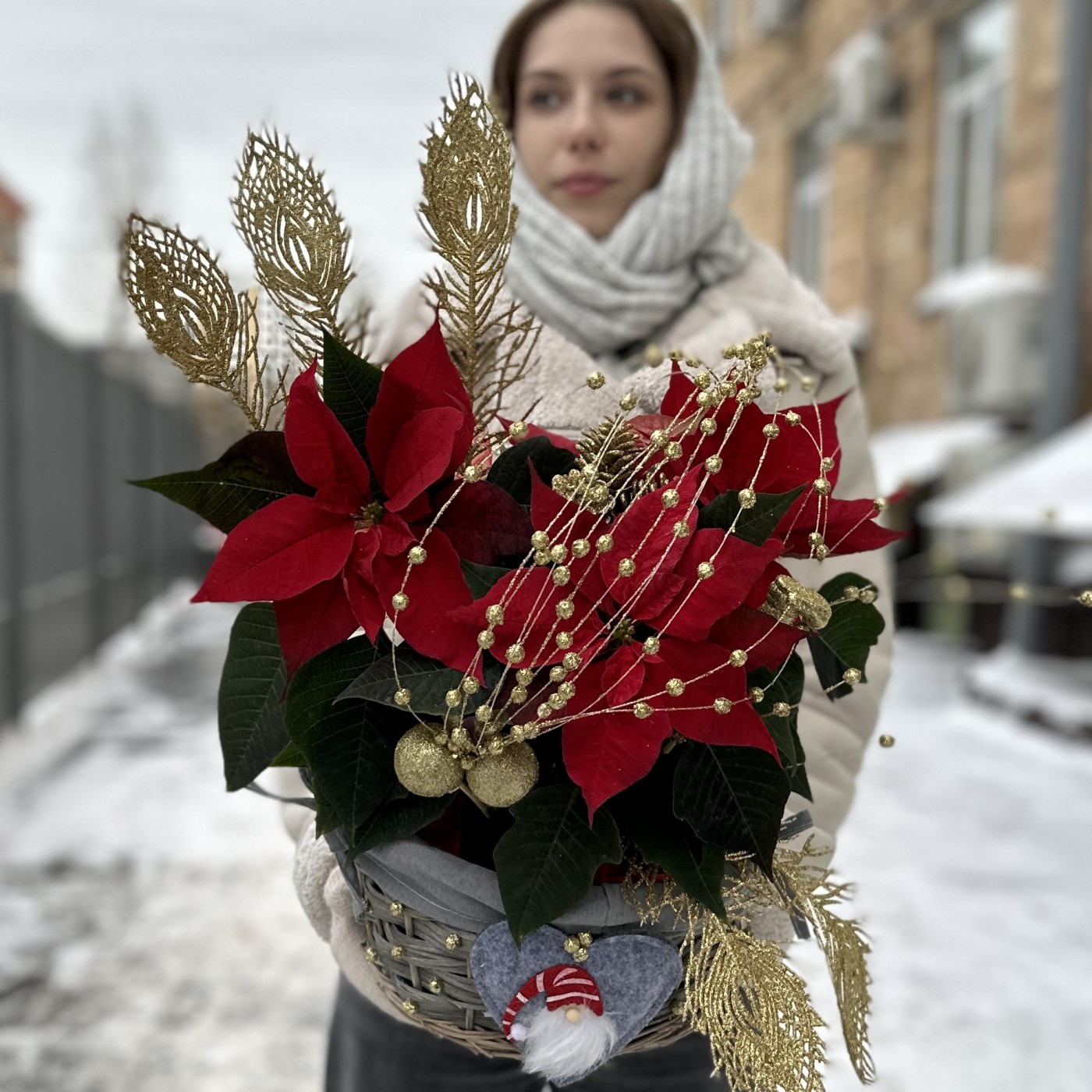 Пуансеттия красная в корзине с золотым декором