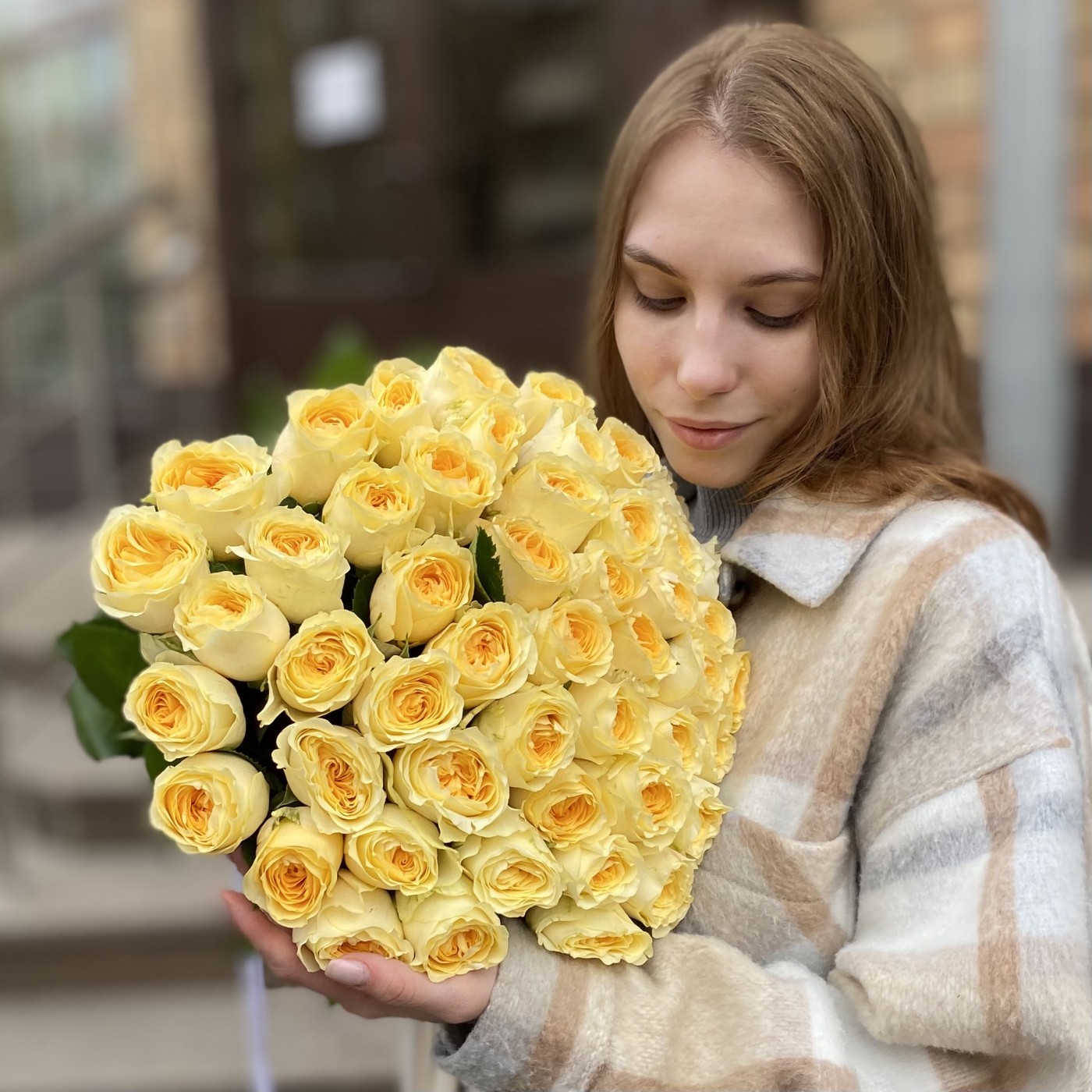 Роза лимонная пионовидная Баттеркап 35 см