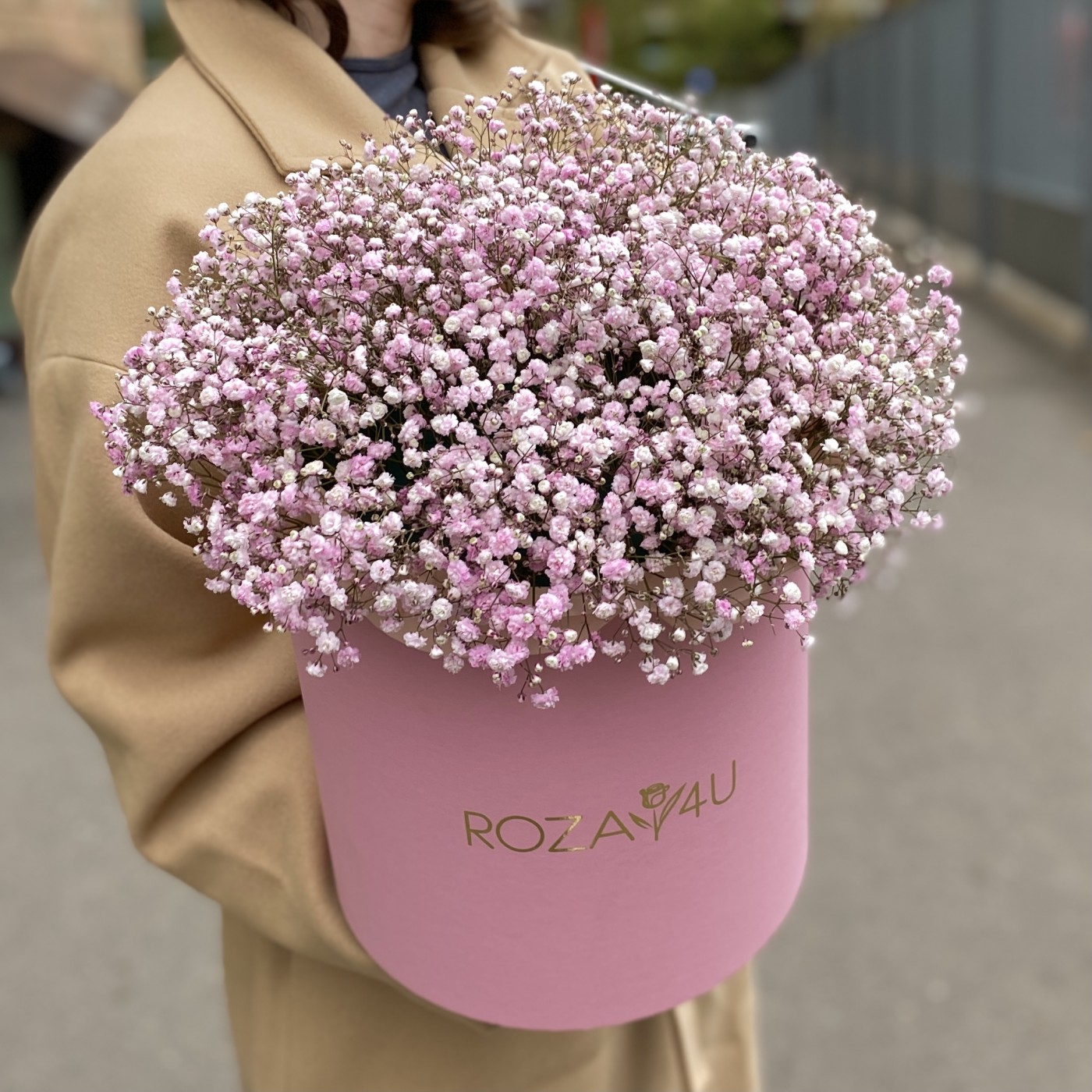 Розовая гипсофила в розовой коробке
