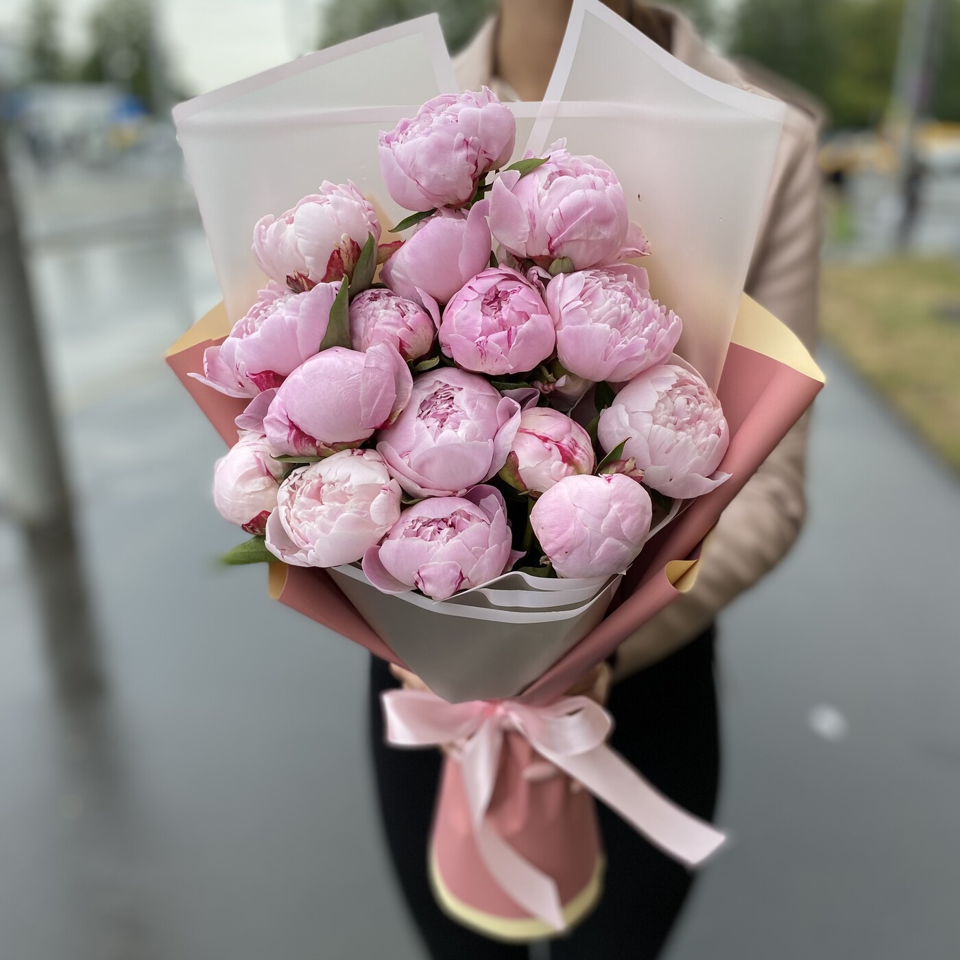 Букет из 15 пионов Сара Бернар