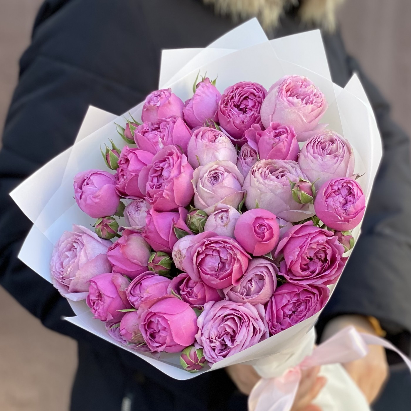 Дуэт Мисти Баблс и Лавандер лейс