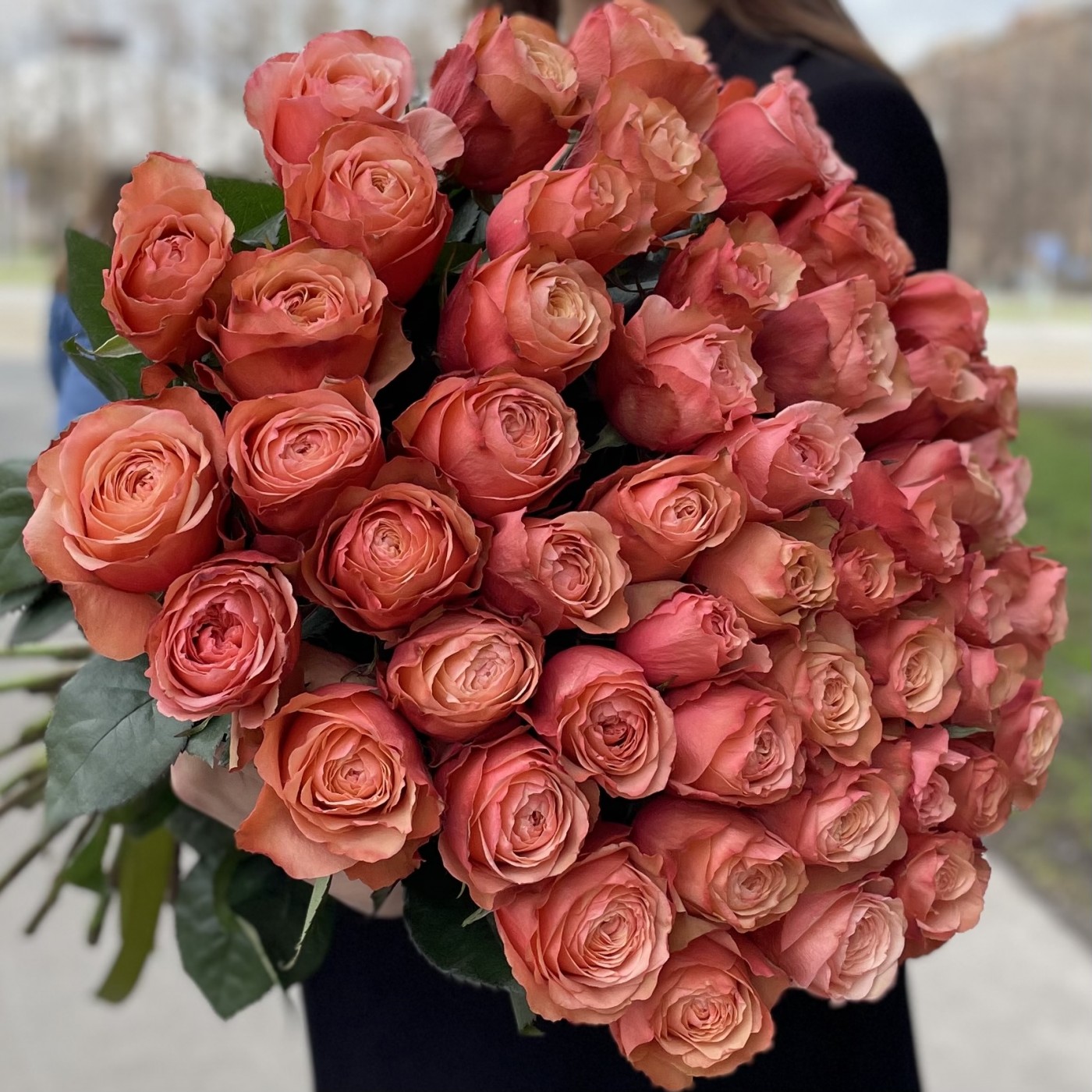 Роза Кахала 70 см