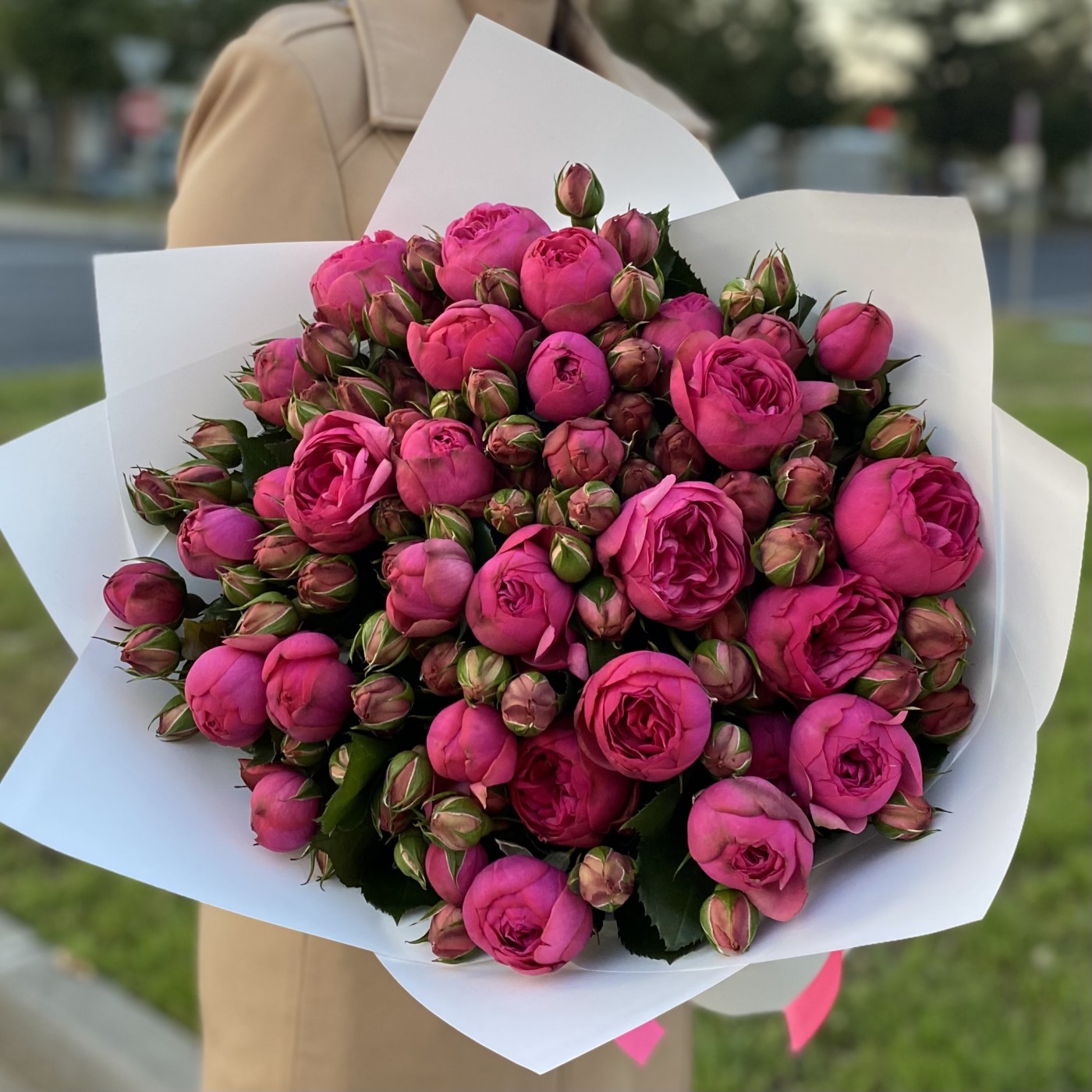 25 ярко-розовых кустовых пионовидных роз Пинк Пиано