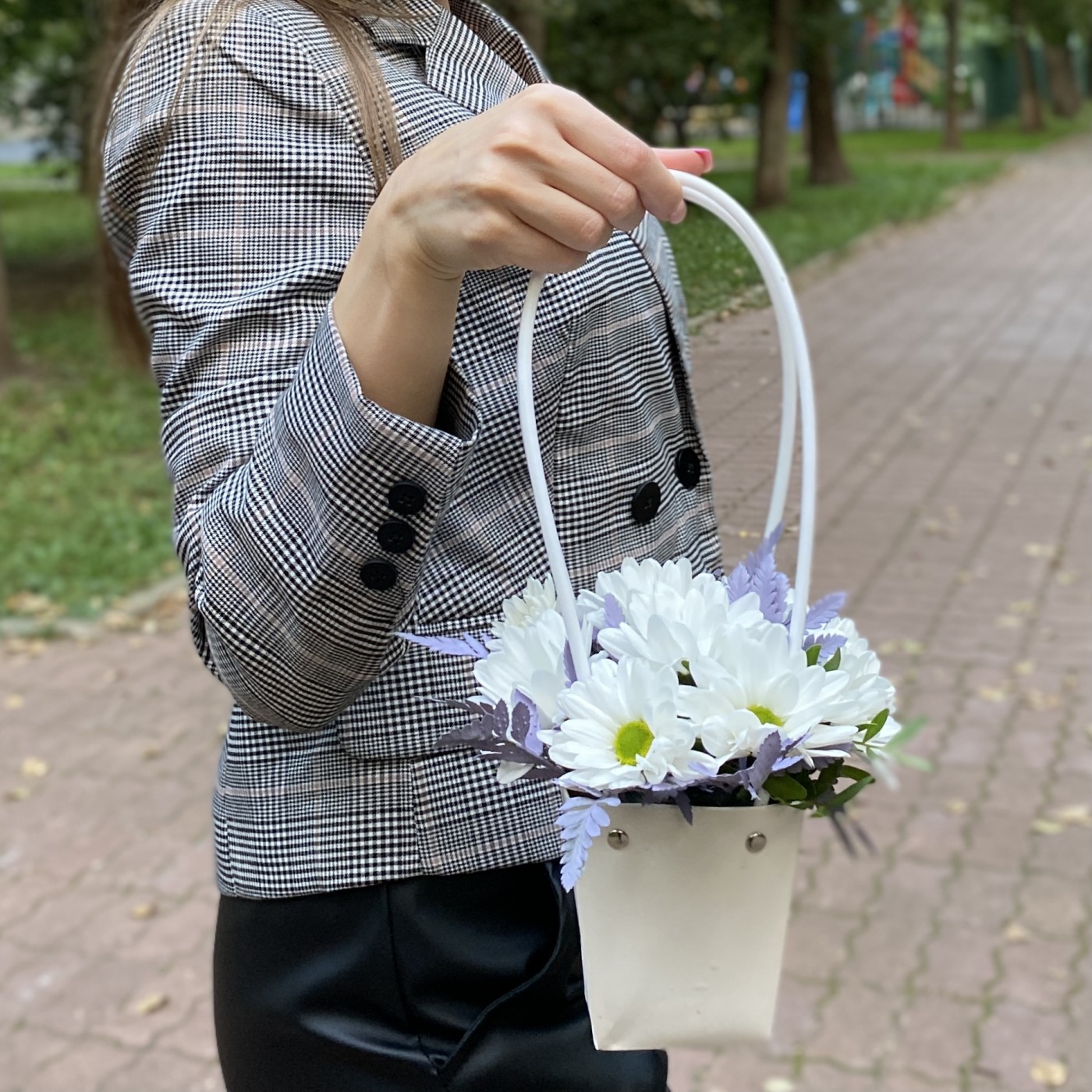 Белая кустовая хризантема Бакарди в сумочке