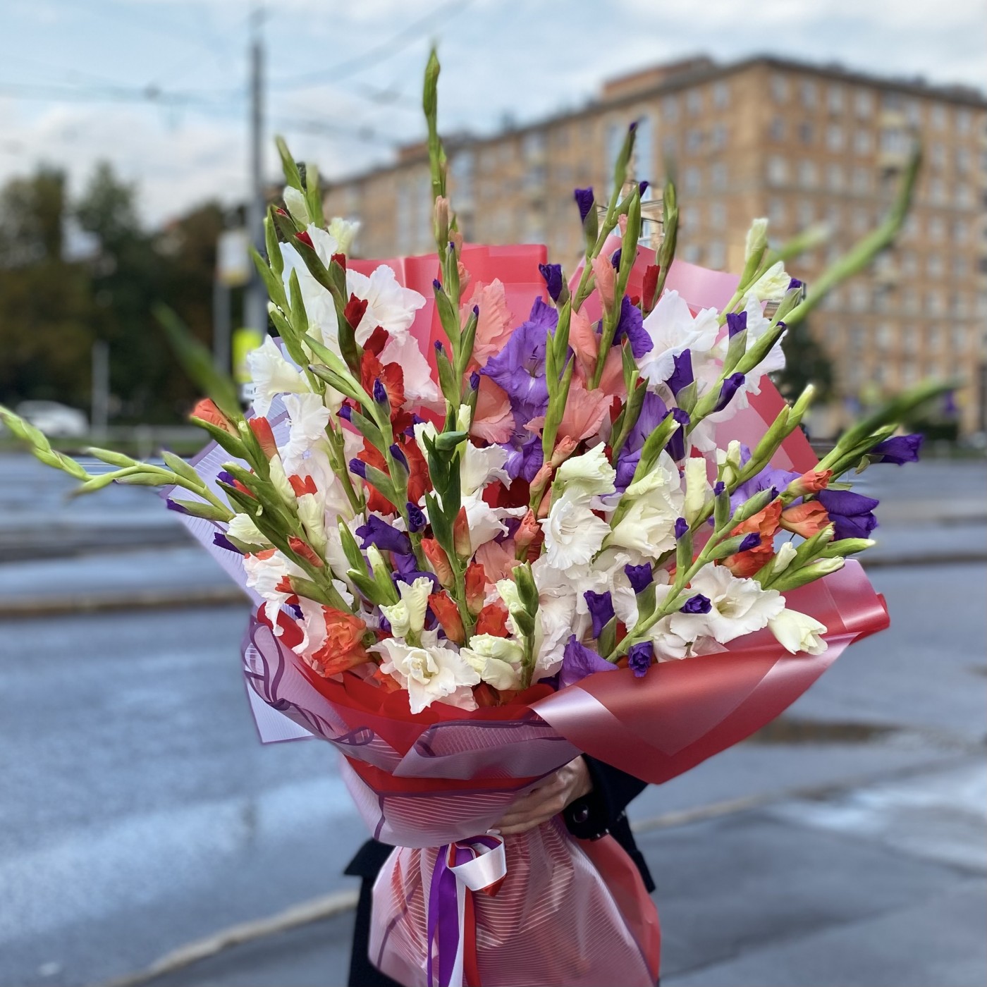 25 гладиолусов яркий микс