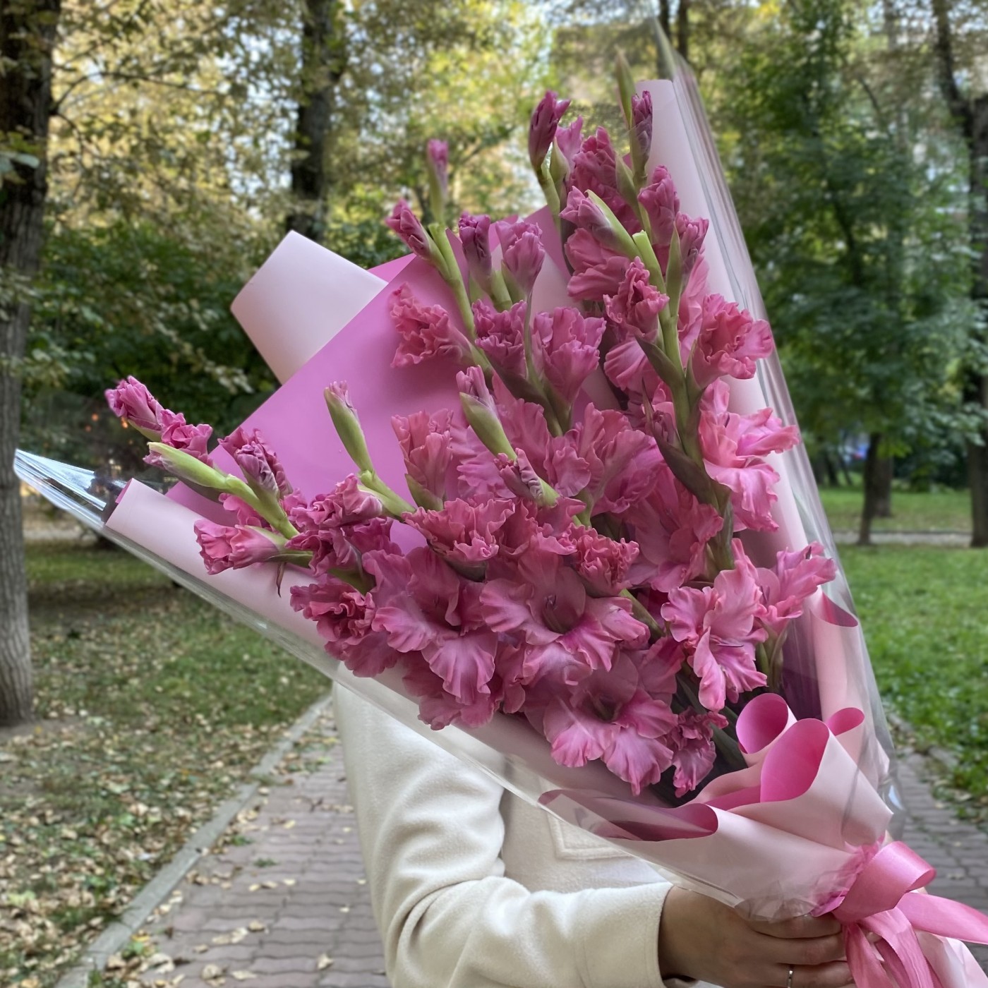 9 розовых гладиолусов
