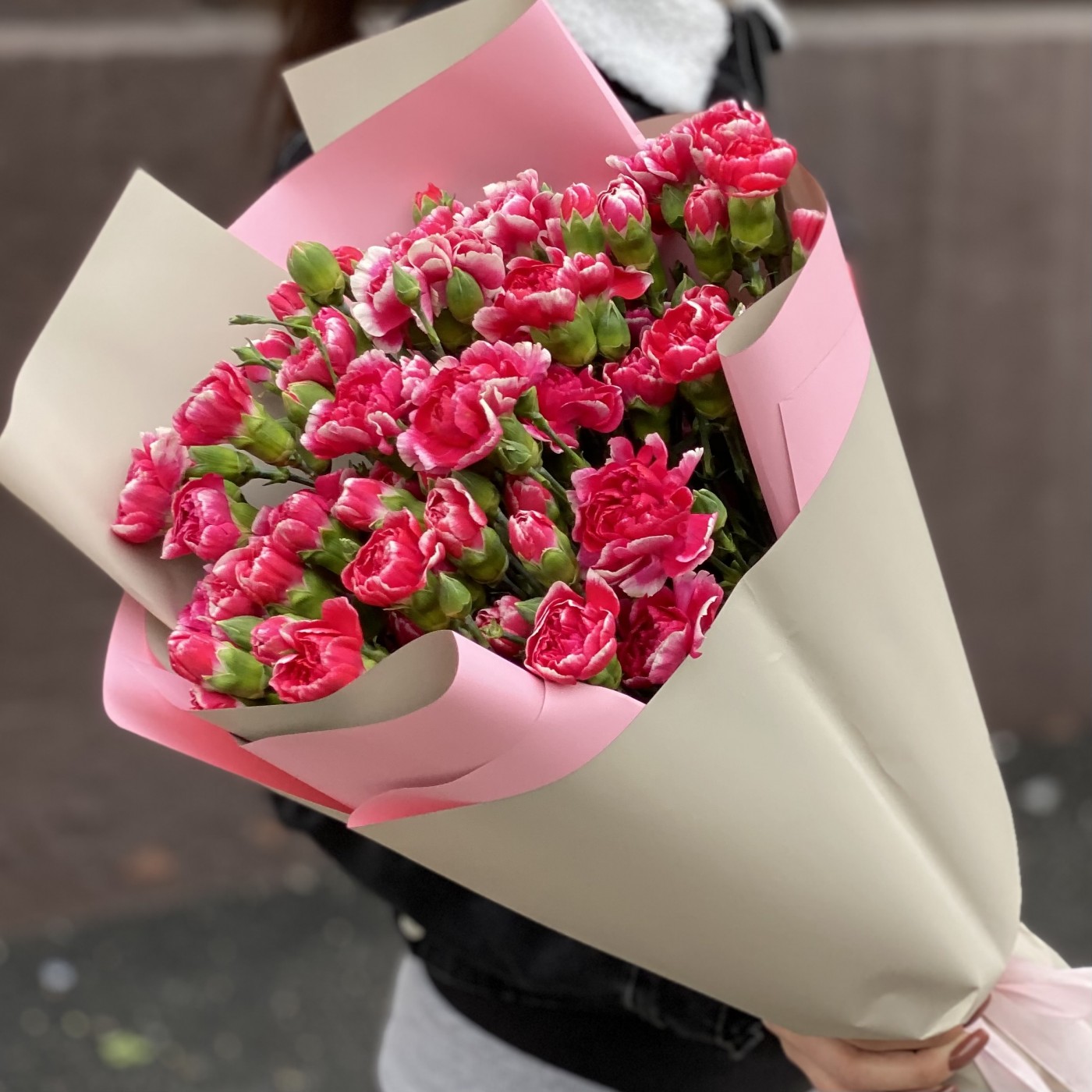 Букет из 25 кустовых малиновых гвоздик