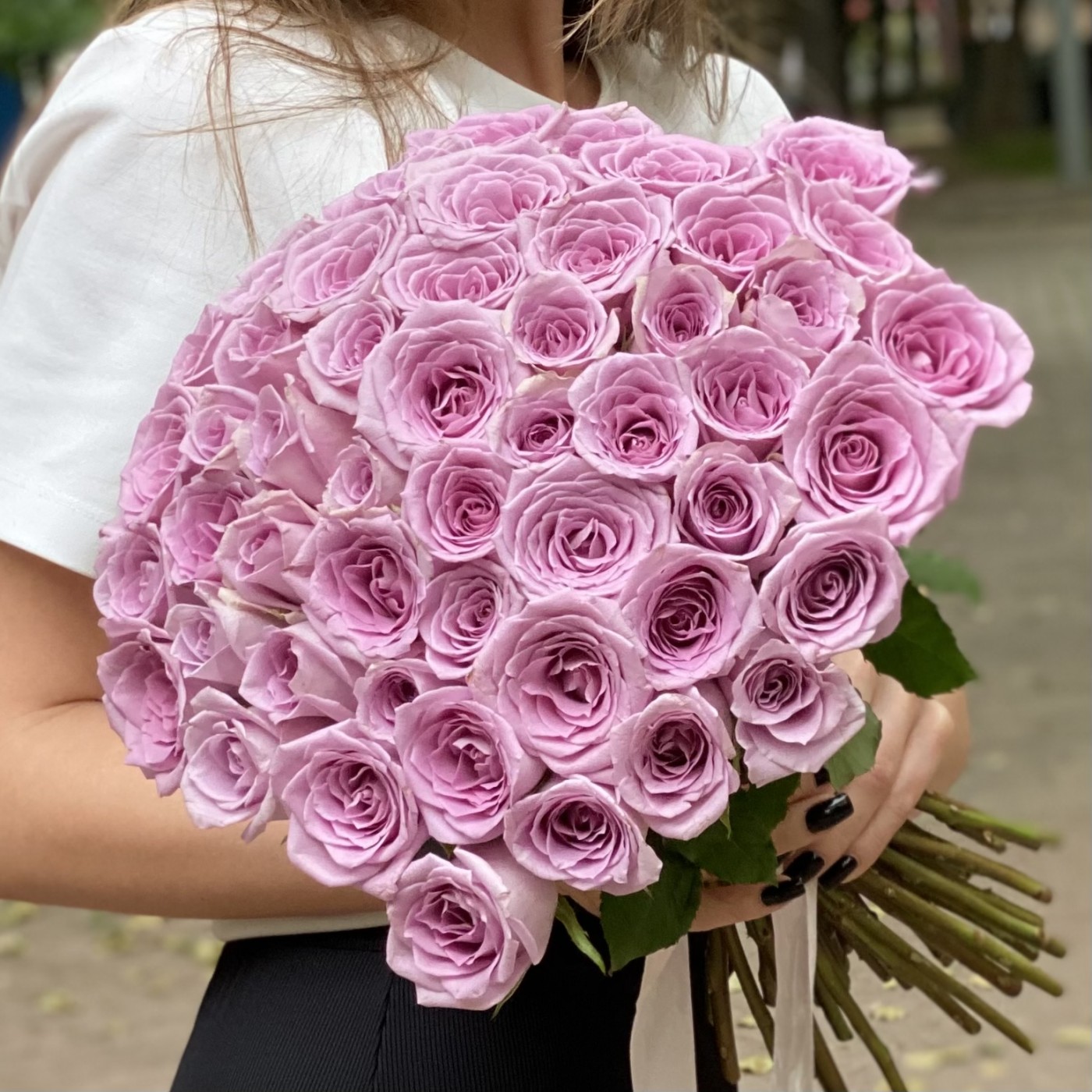 Роза сиреневая Индиго