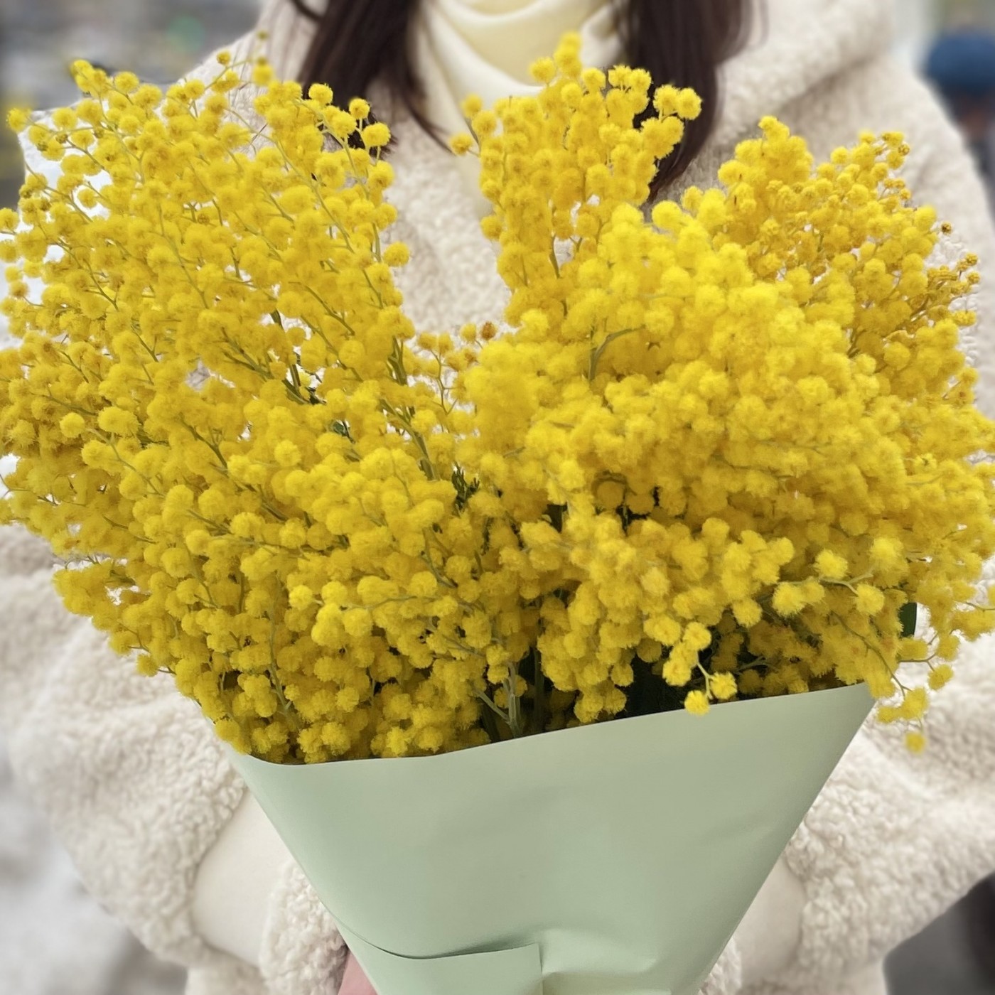 Букет из ароматной мимозы 300г