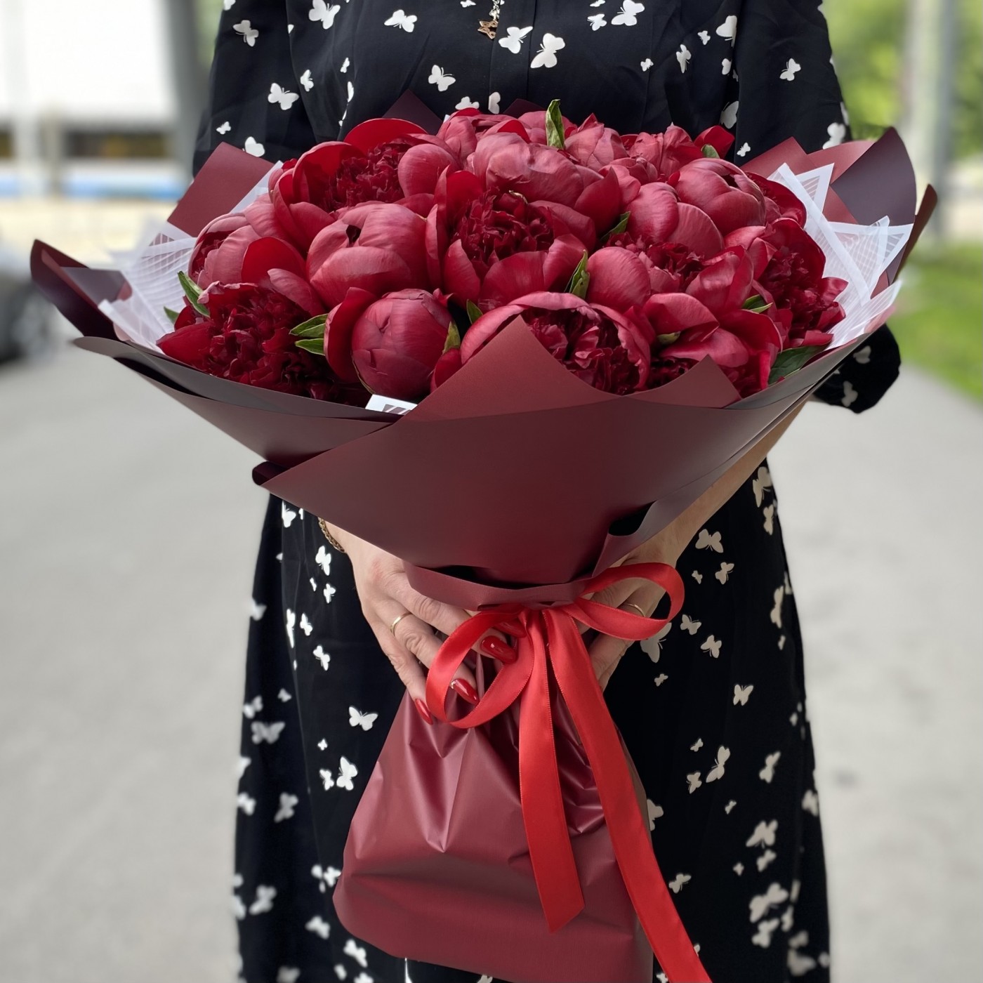 25 бордовых пионов Голландия