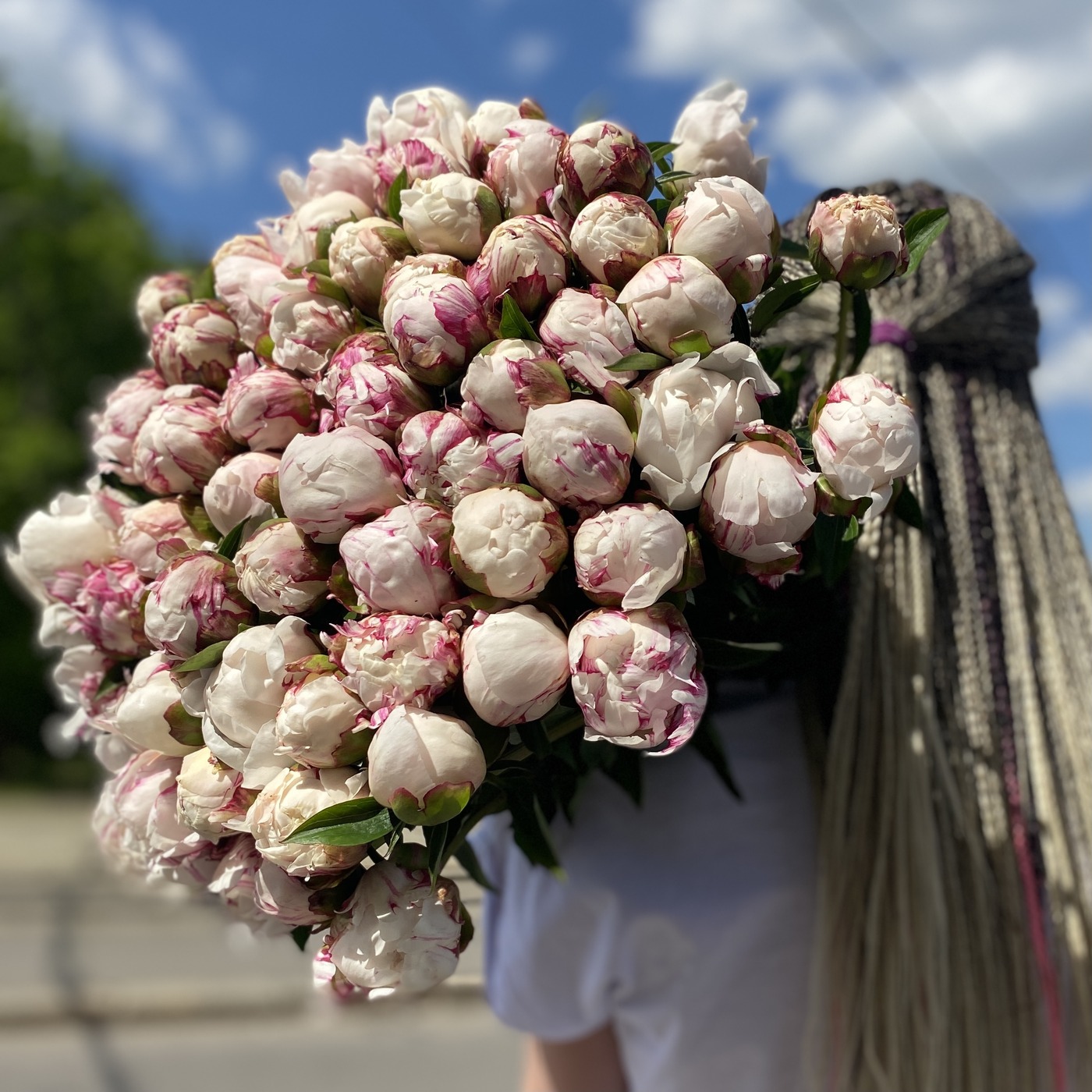 51 пион