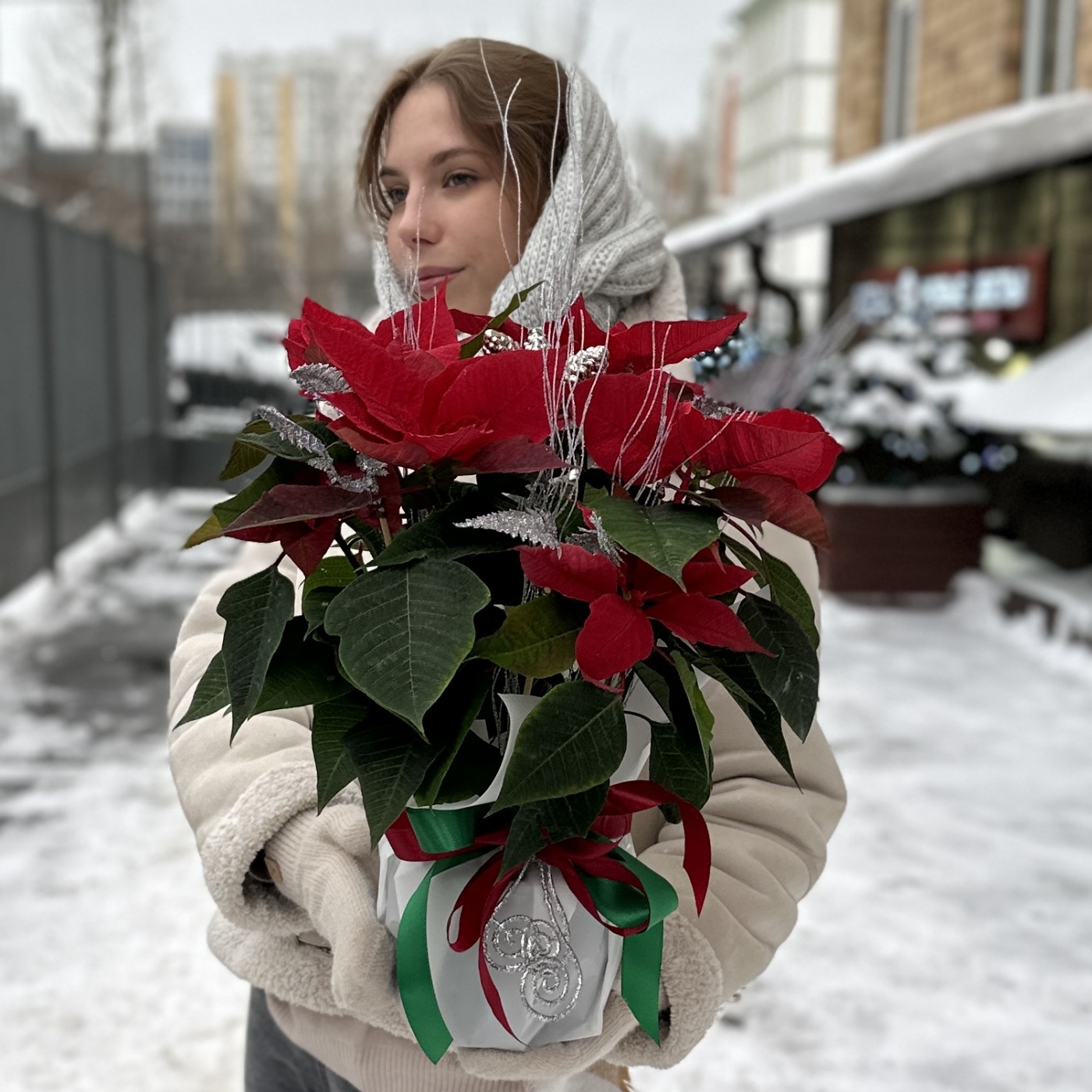 Красная пуансеттия с серебряным декором