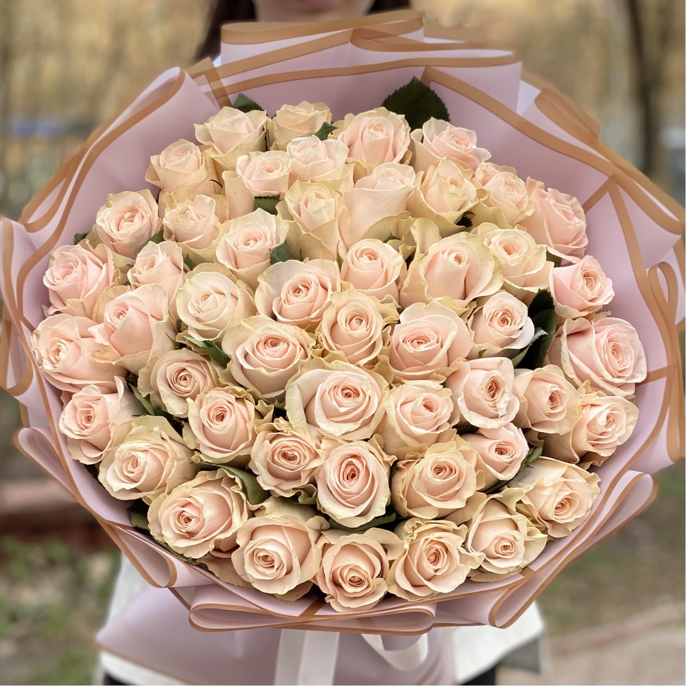 51 нежно-розовая роза Помароса