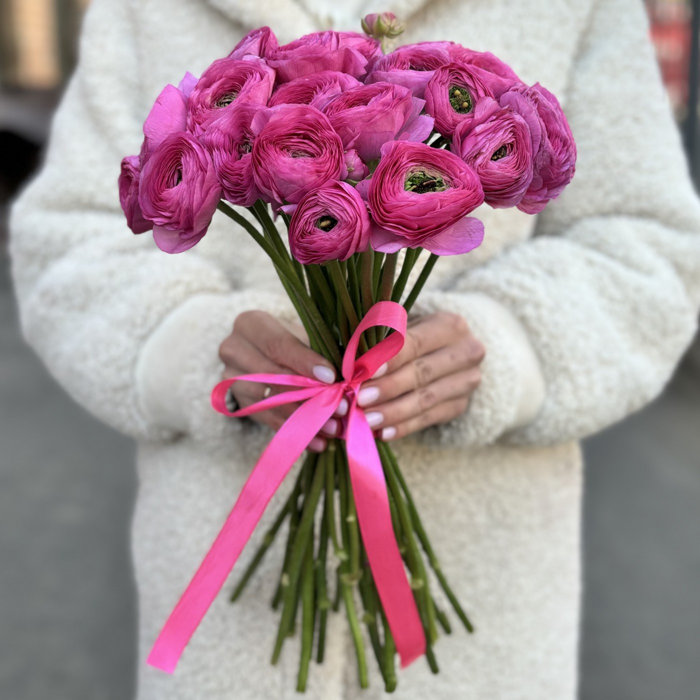 Ранункулюс малиновый
