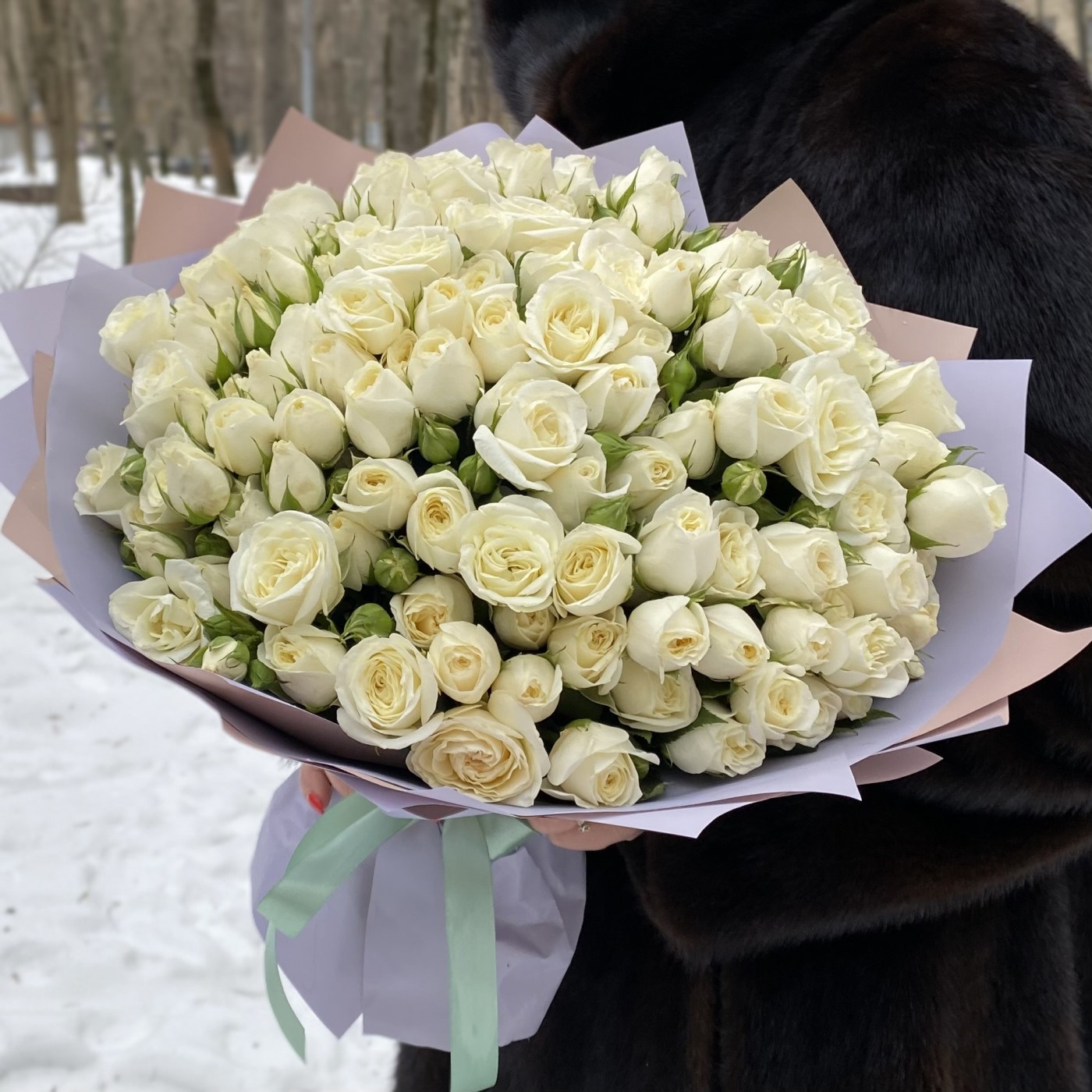 51 белая кустовая роза Сноу Бабл 50 см