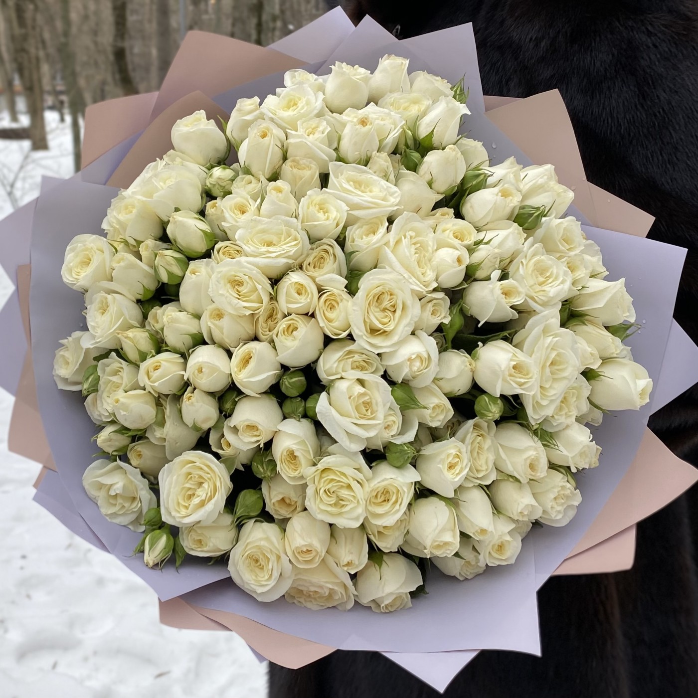 51 белая кустовая роза Сноу Бабл 40см