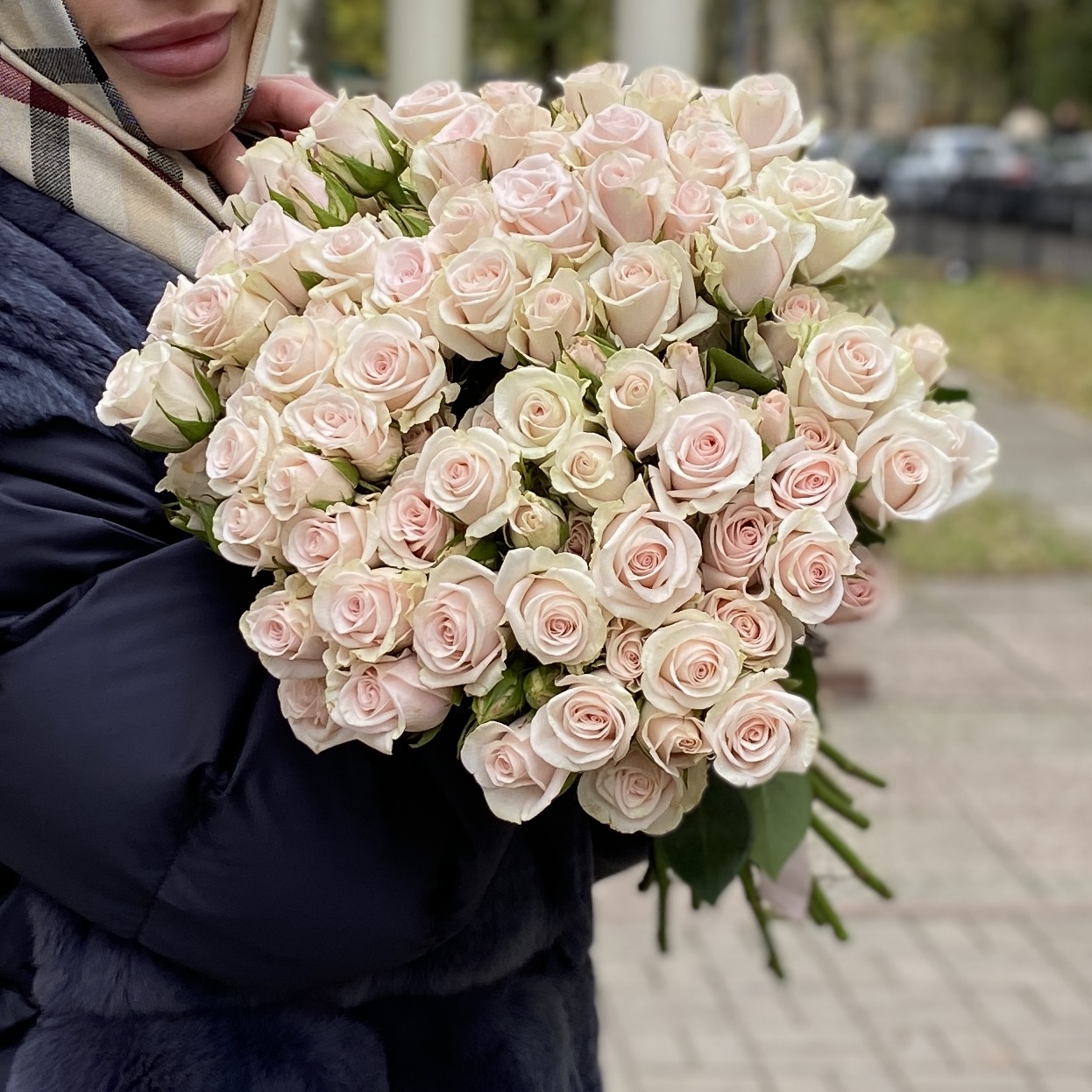 Кустовая роза Роял Порцелина 40 см