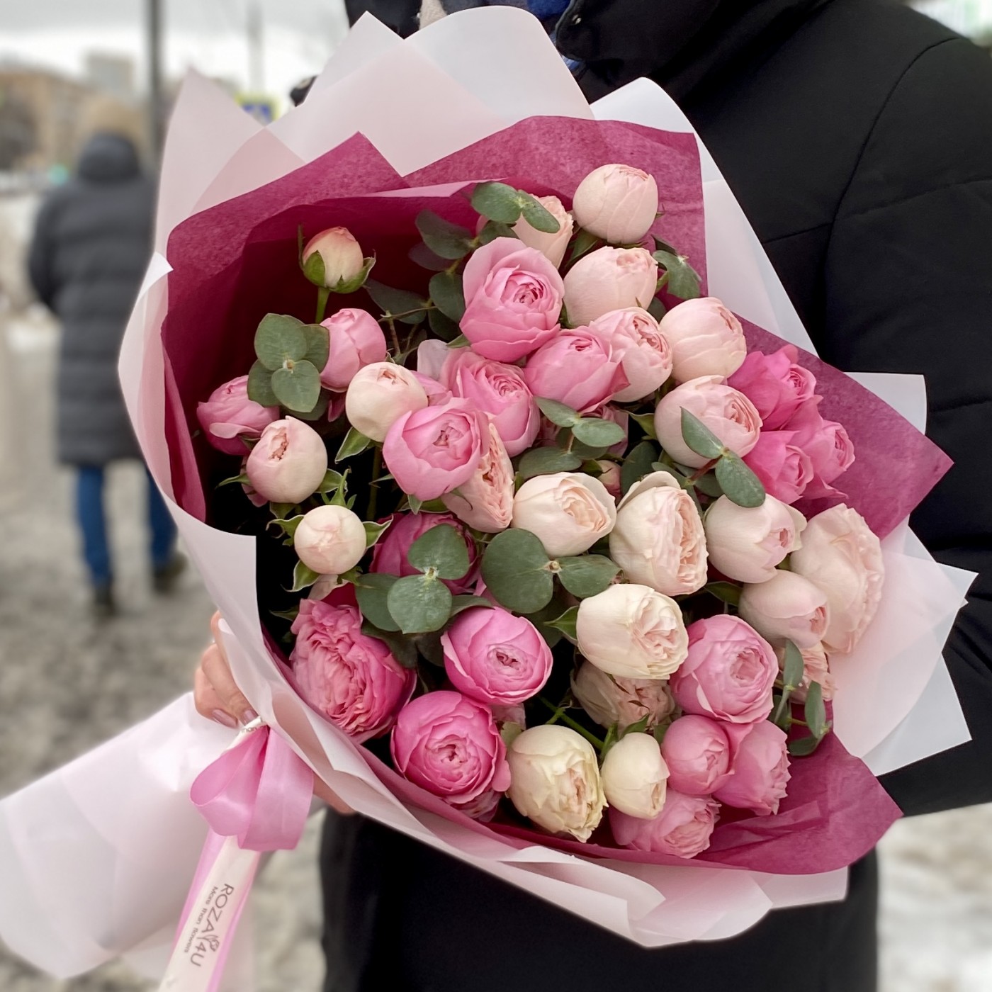 Пионовидные розы Сильва Пинк и Мансфилд Парк