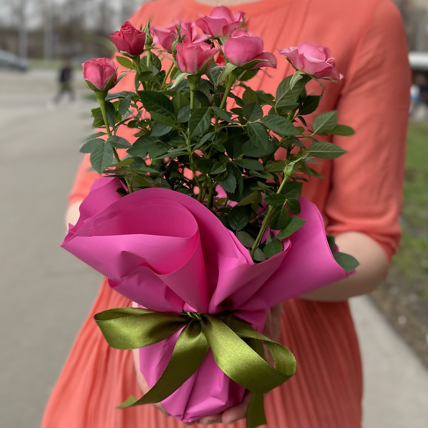 Роза в горшке микс