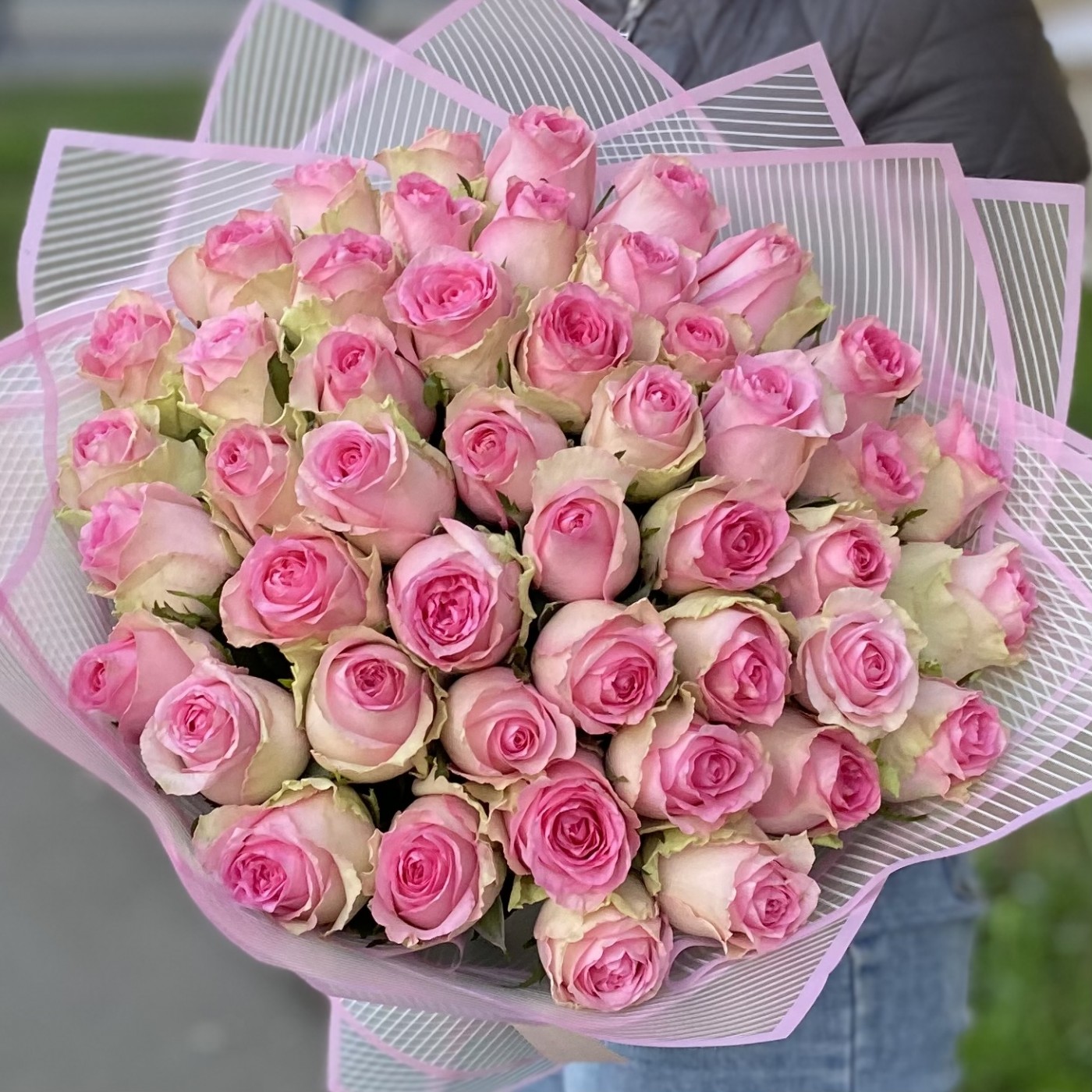 51 роза Бриджит Бардо