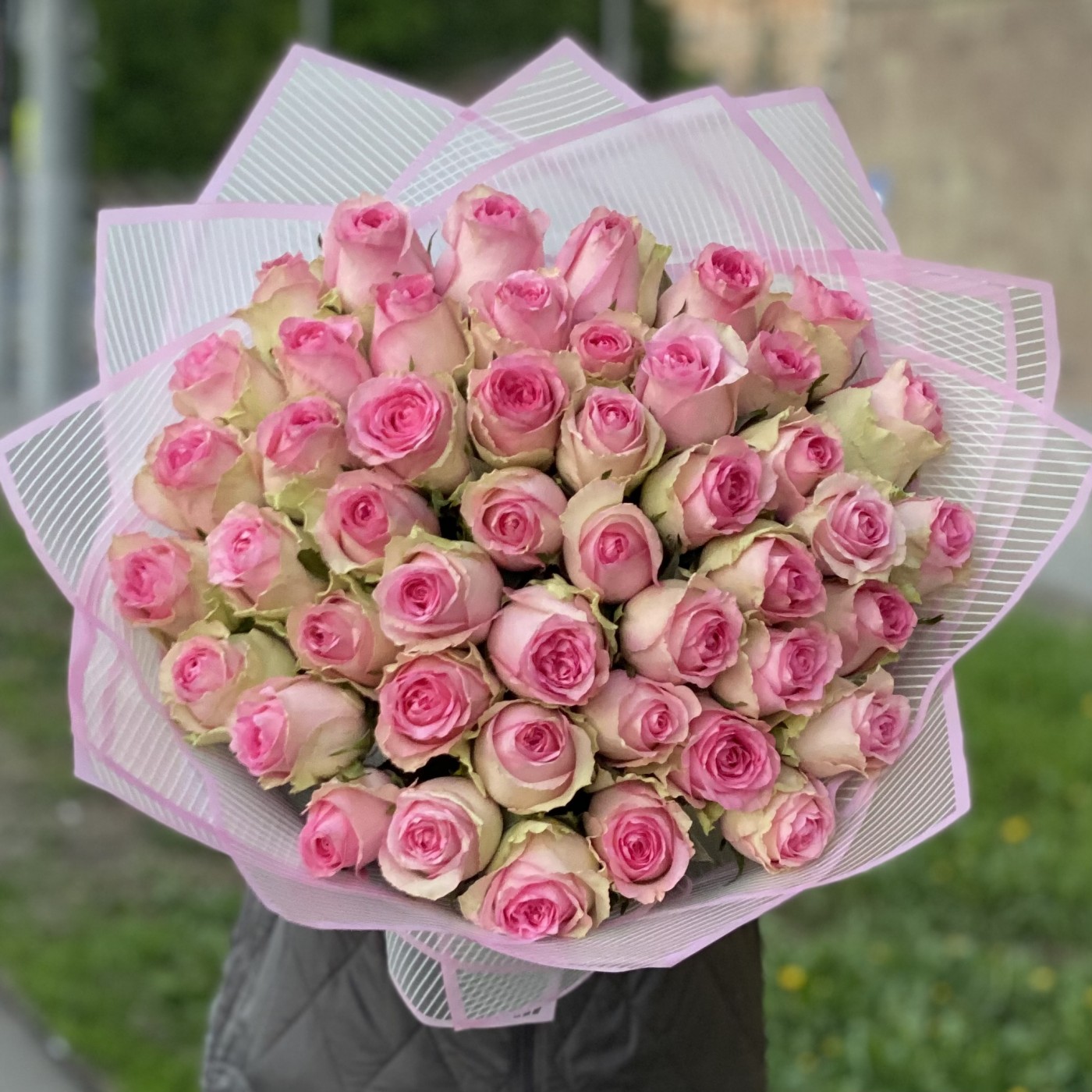 51 роза Бриджит Бардо
