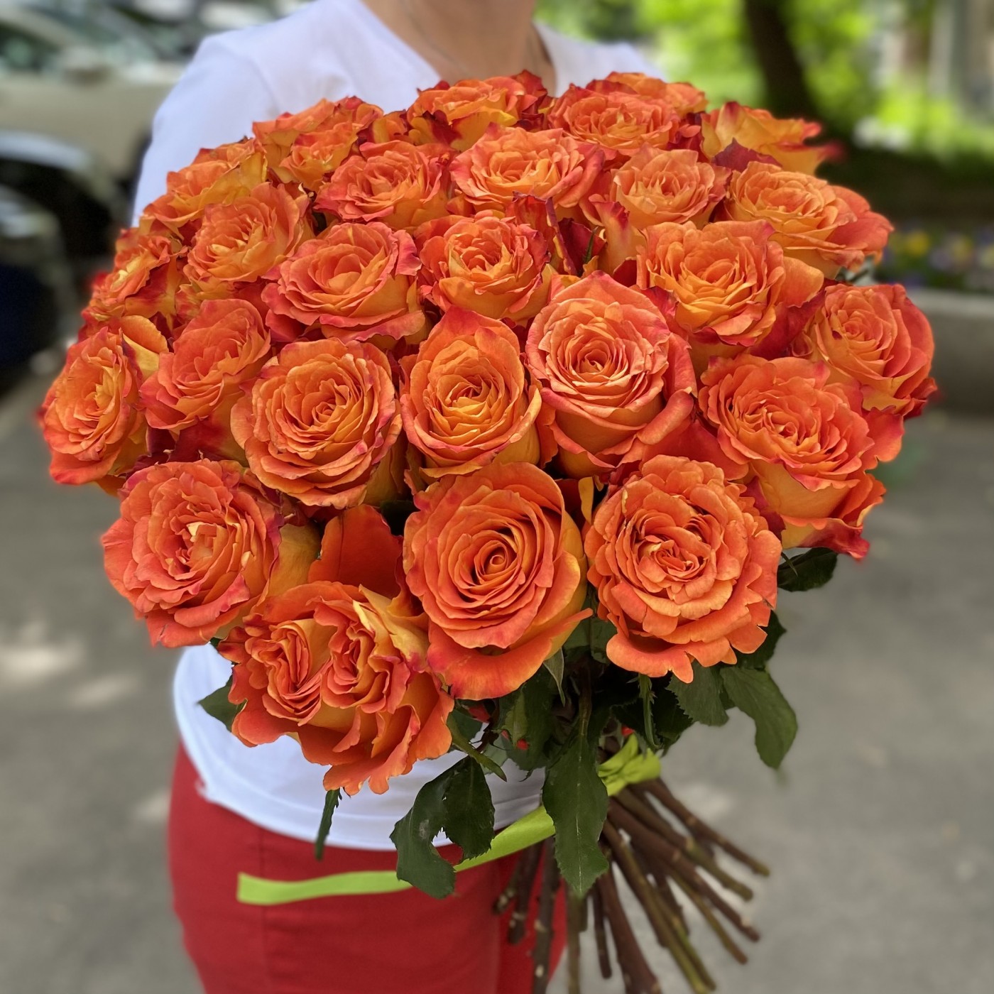 Оранжевая роза Силантой