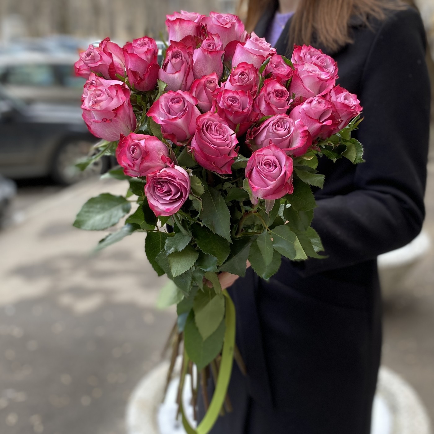 Роза Дип Перпл