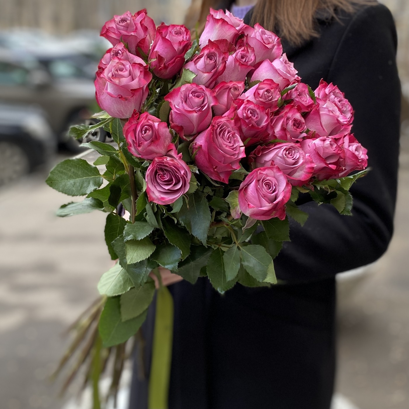 Роза Дип Перпл