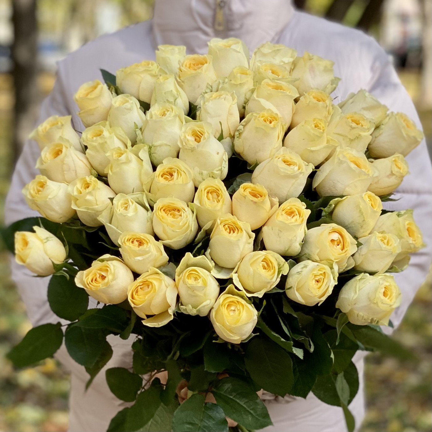 Роза Баттеркап 50 см