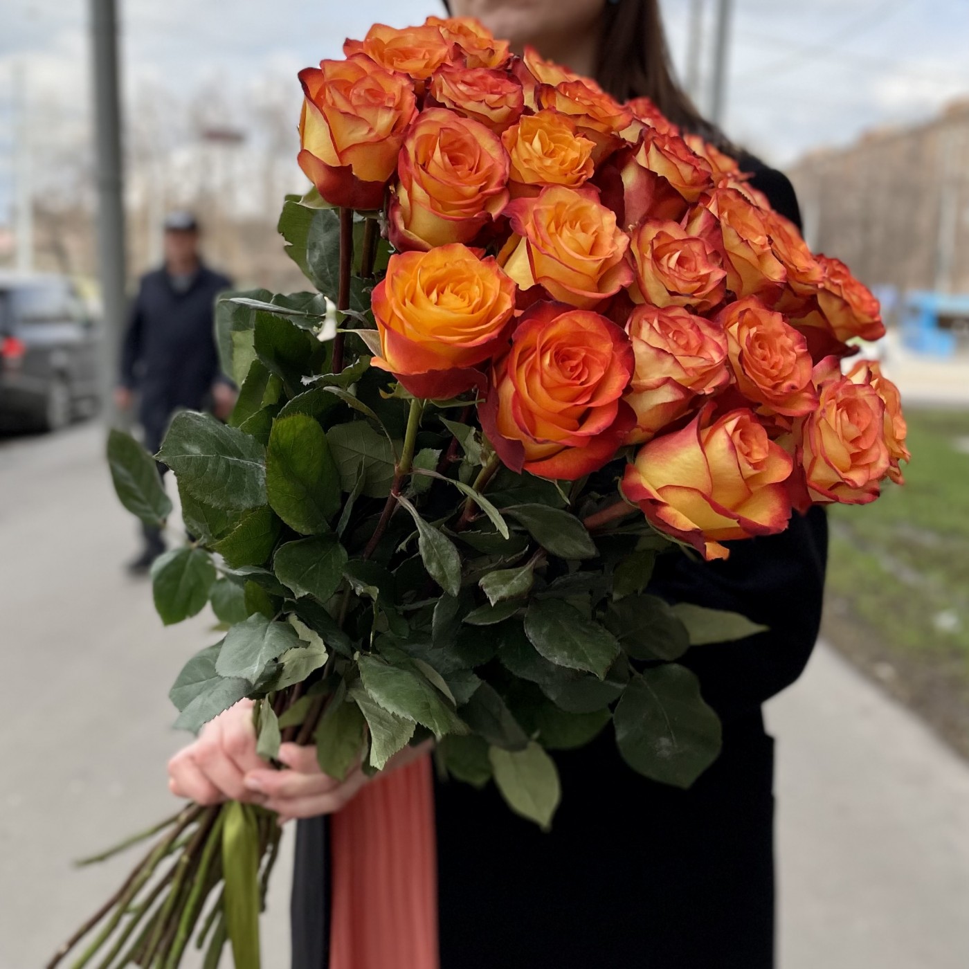 Роза Хай Мэджик 60-70 см