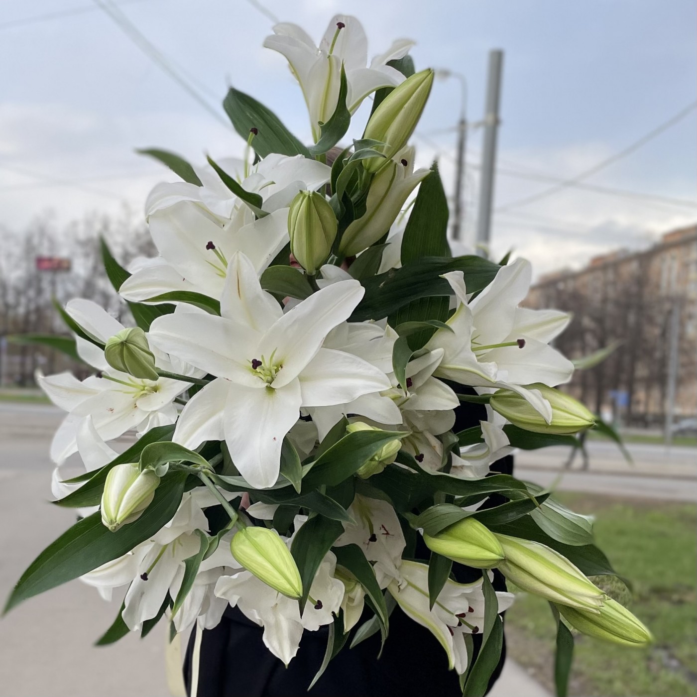 Лилии
