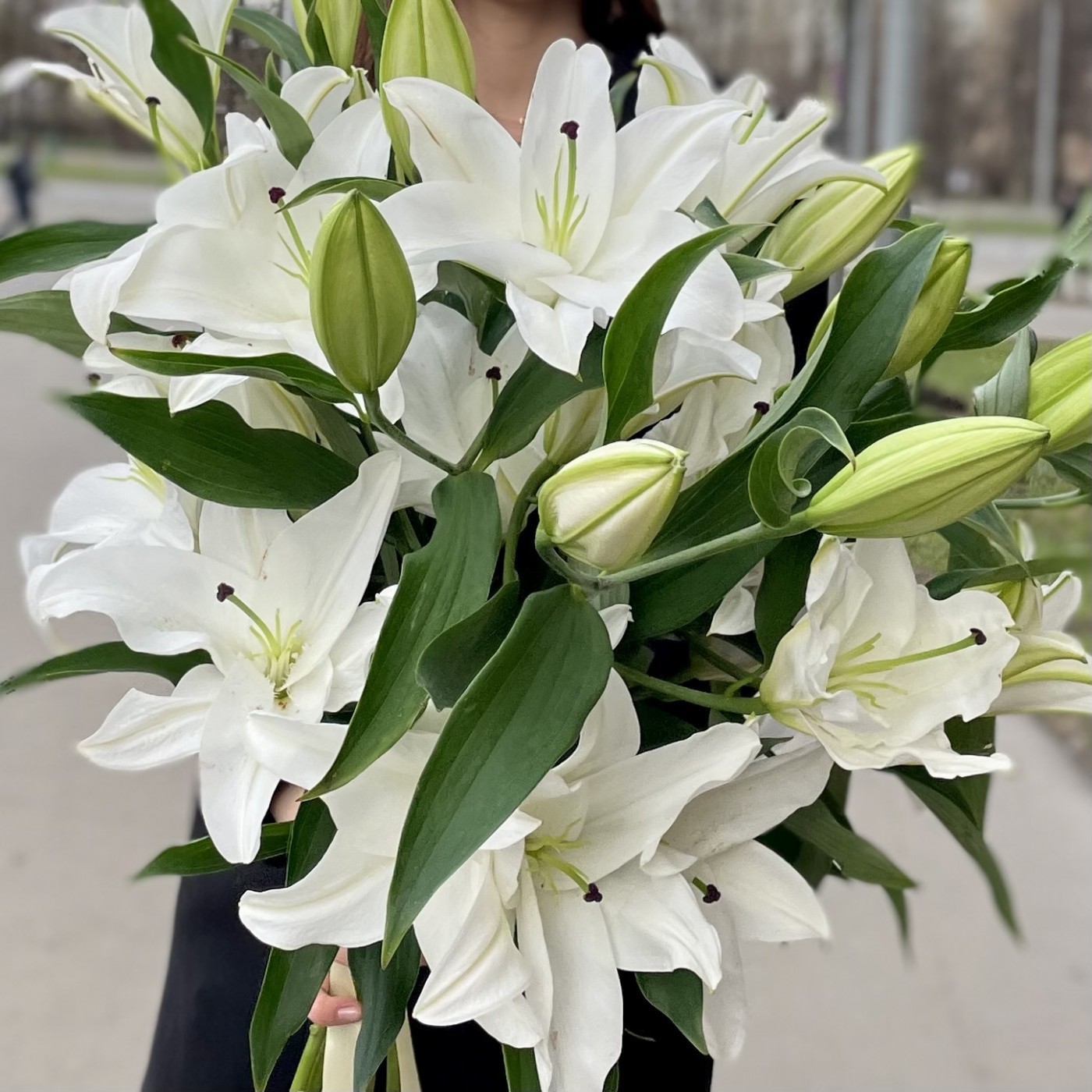 Лилии