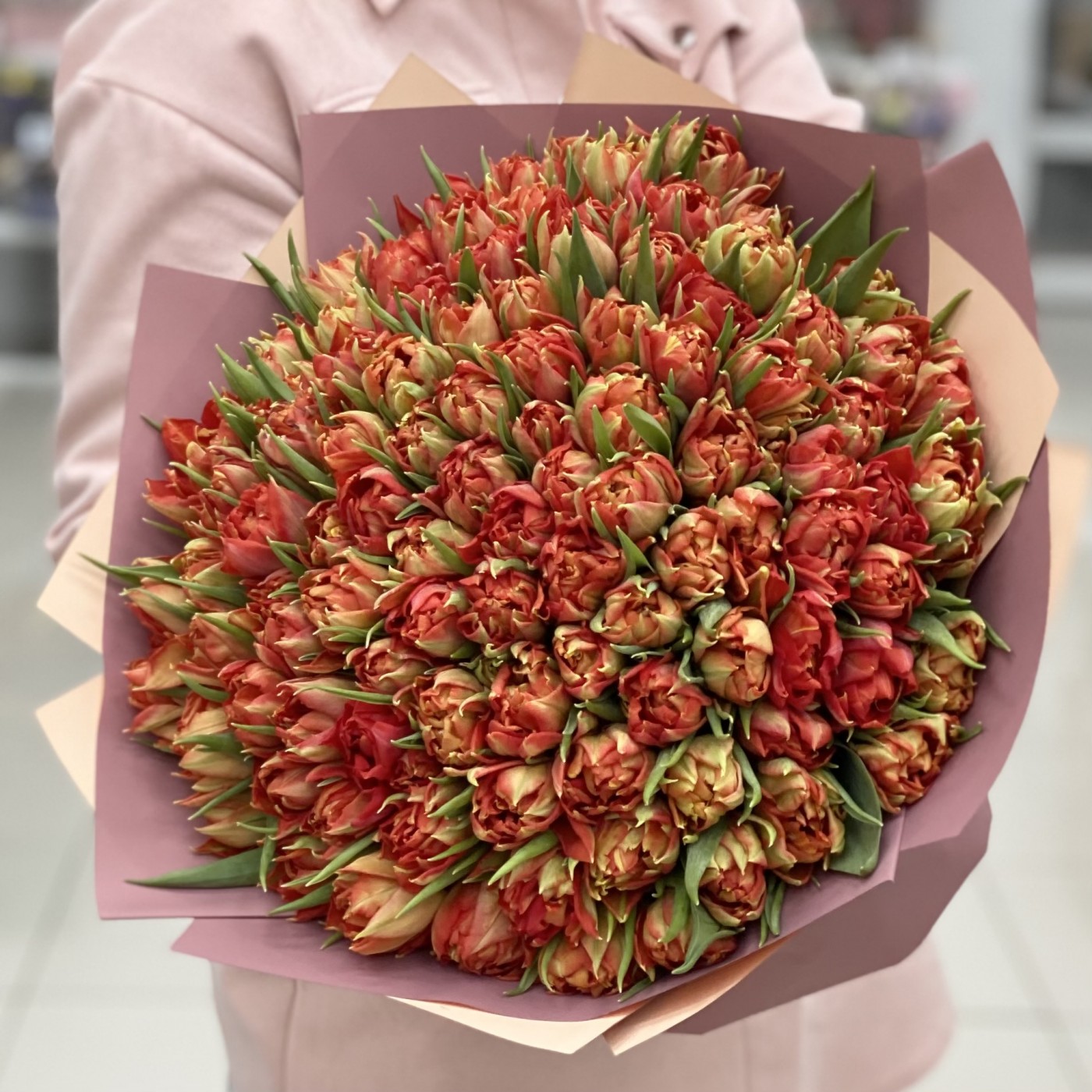 101 пионовидный тюльпан Абба