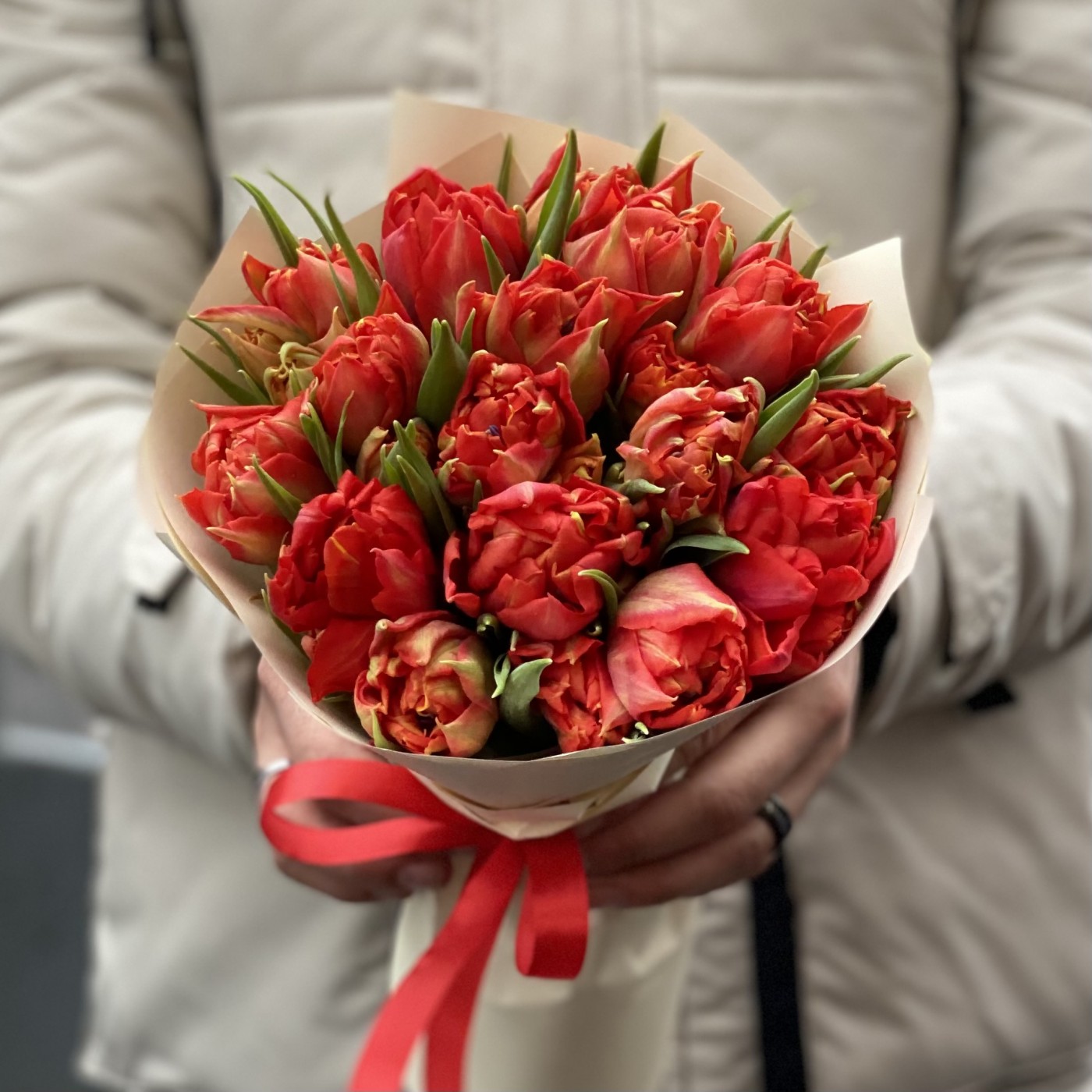 15 красных пионовидных тюльпанов Абба