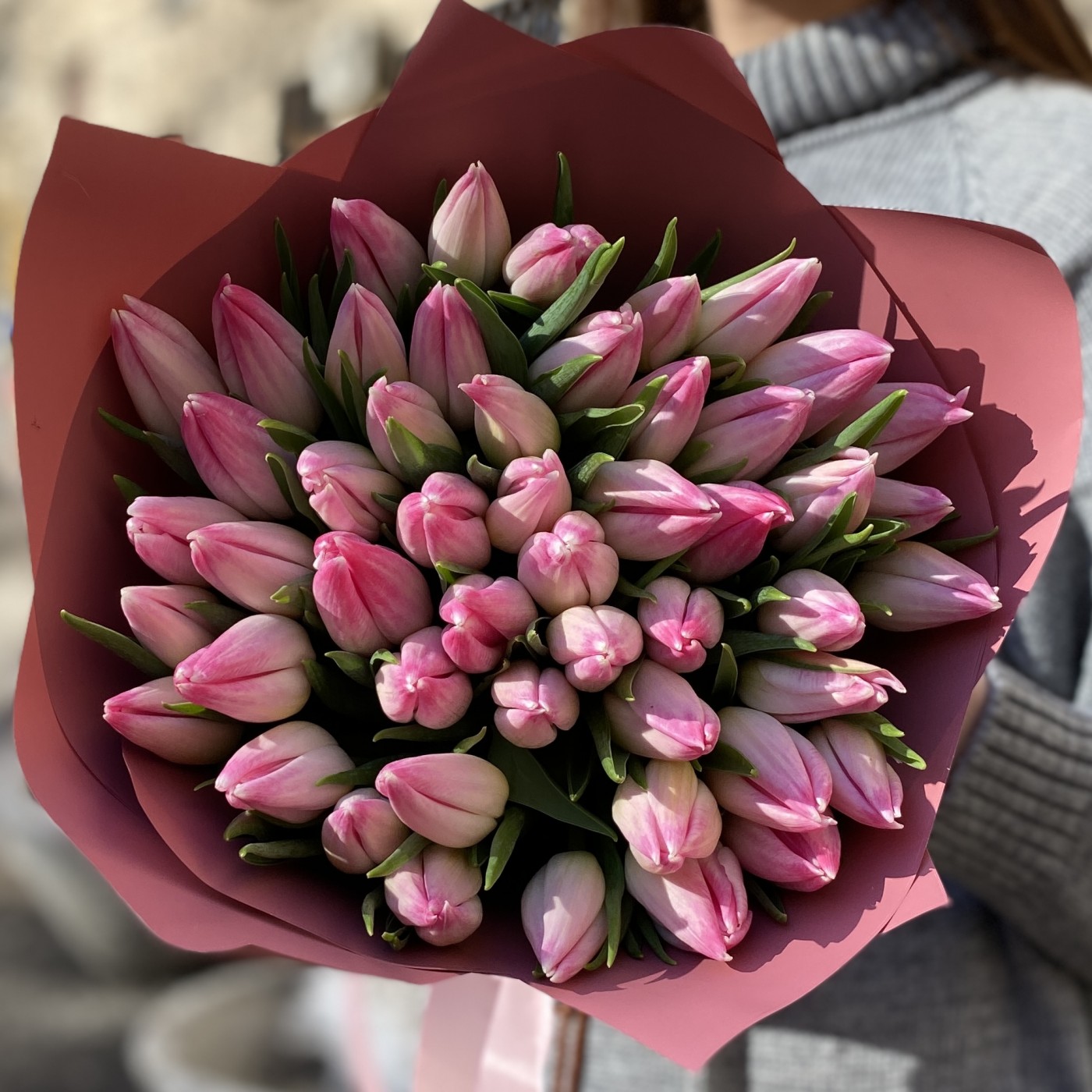 51 нежно-розовый тюльпан