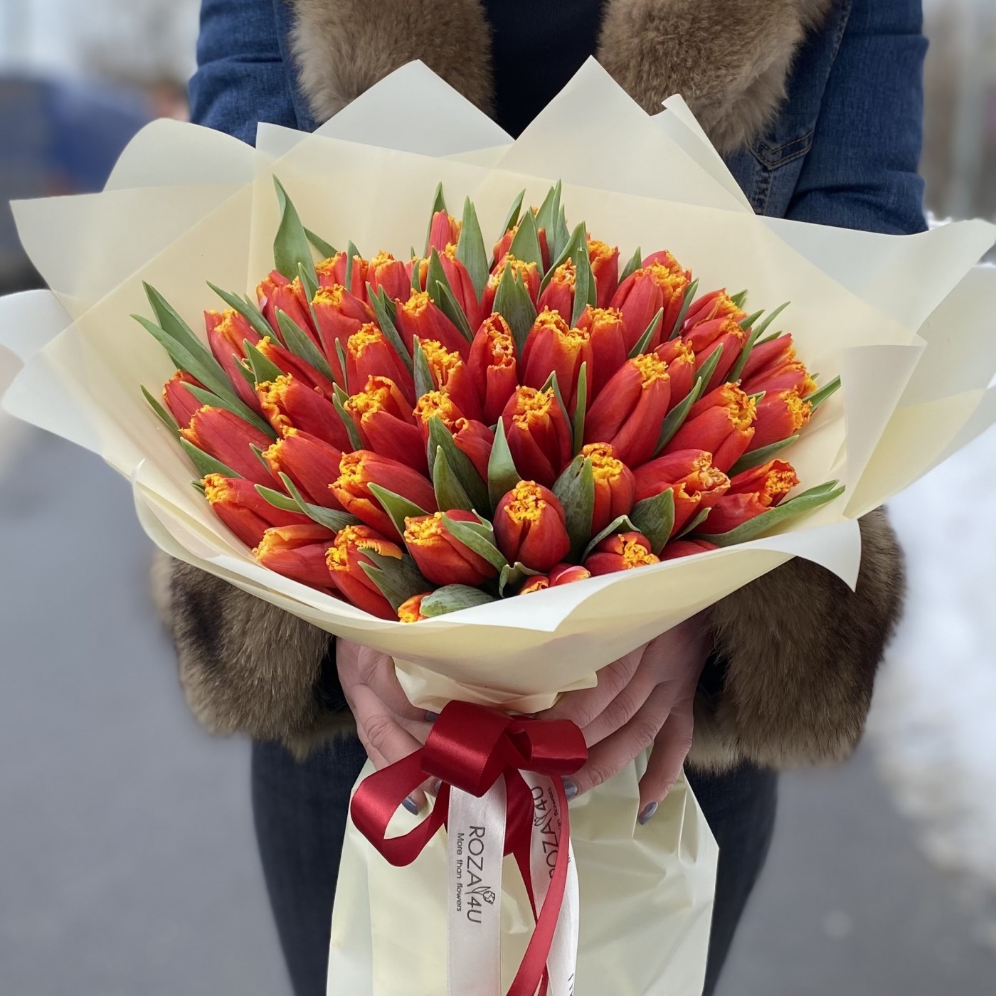 51 тюльпан Давенпорт