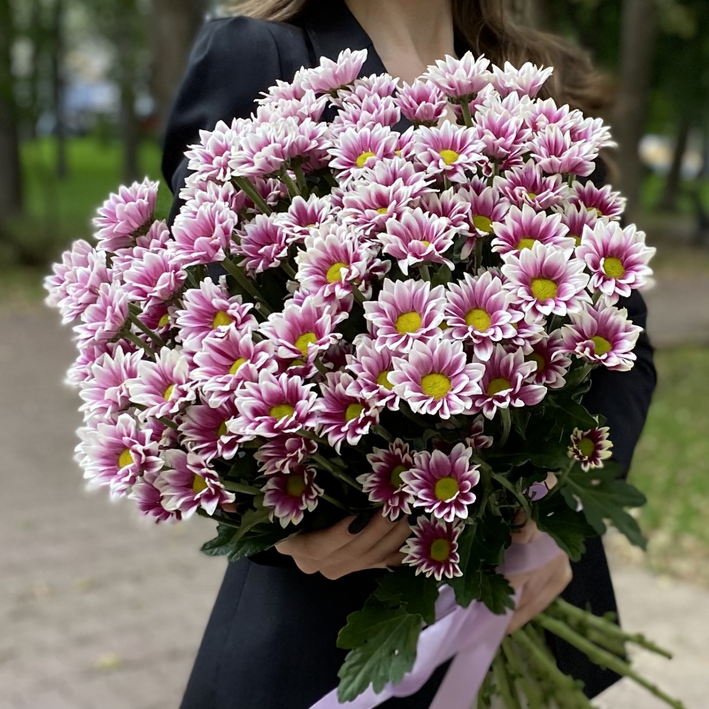 Кустовая хризантема Хайдар пинк